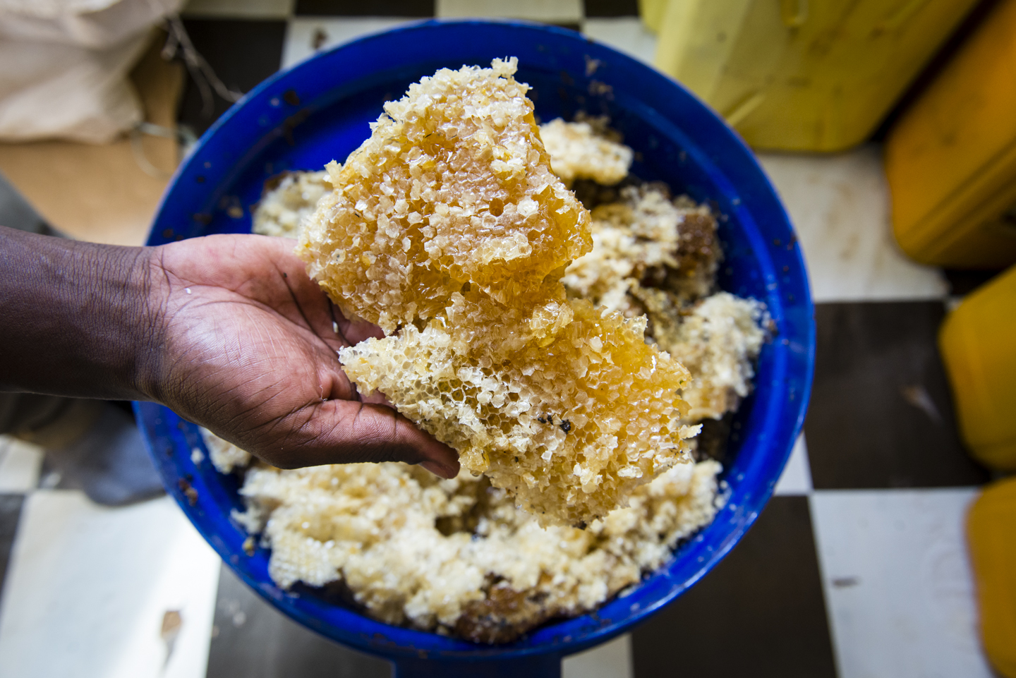 Bee House Products, honey, propolis and wax producer, Kampala, Uganda