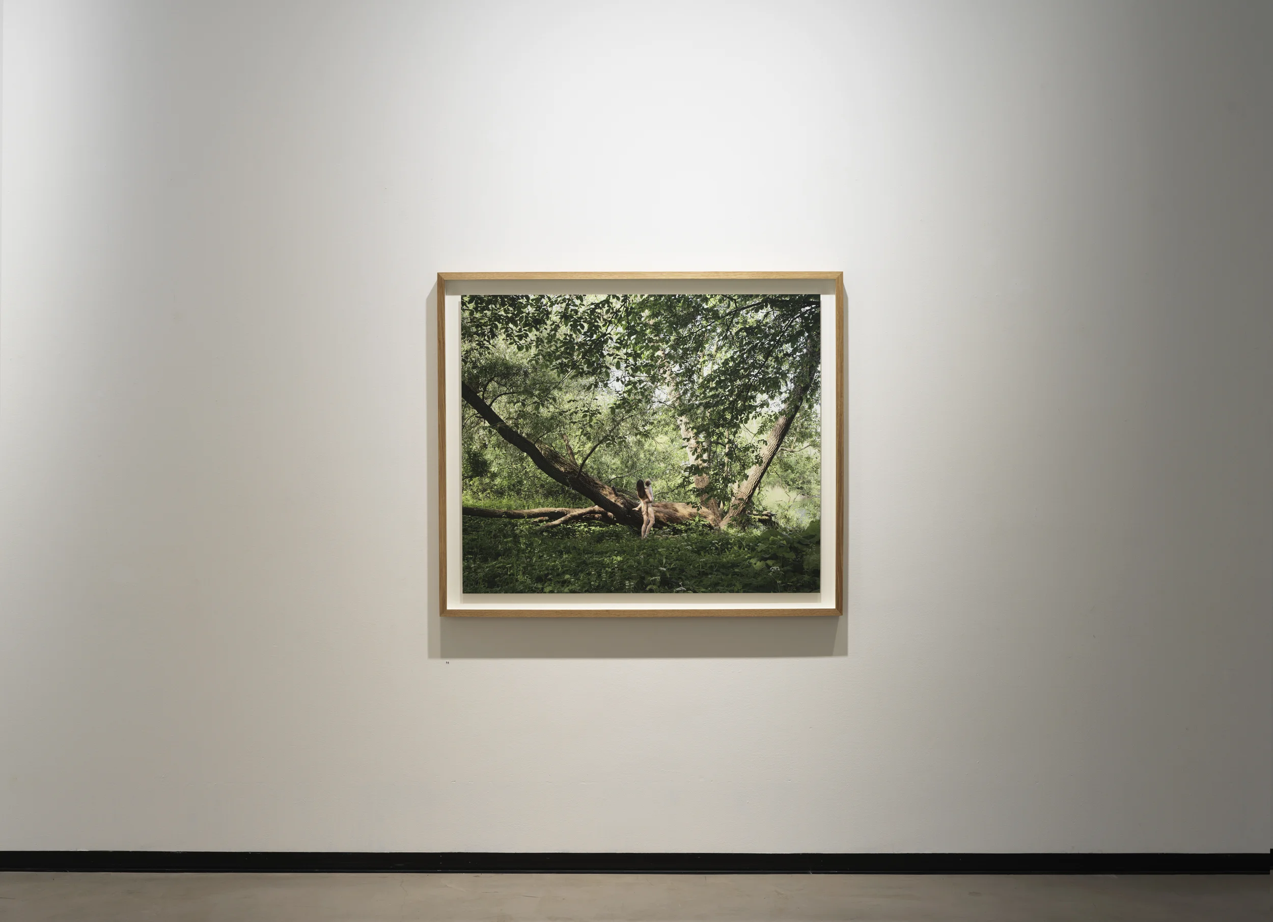 Gallery Heino