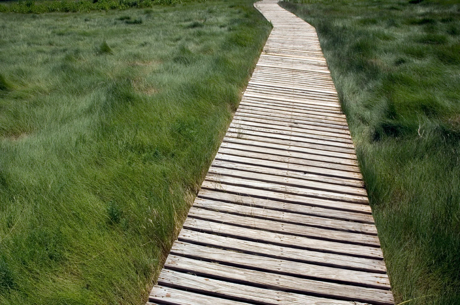 Weathered Boardwalk