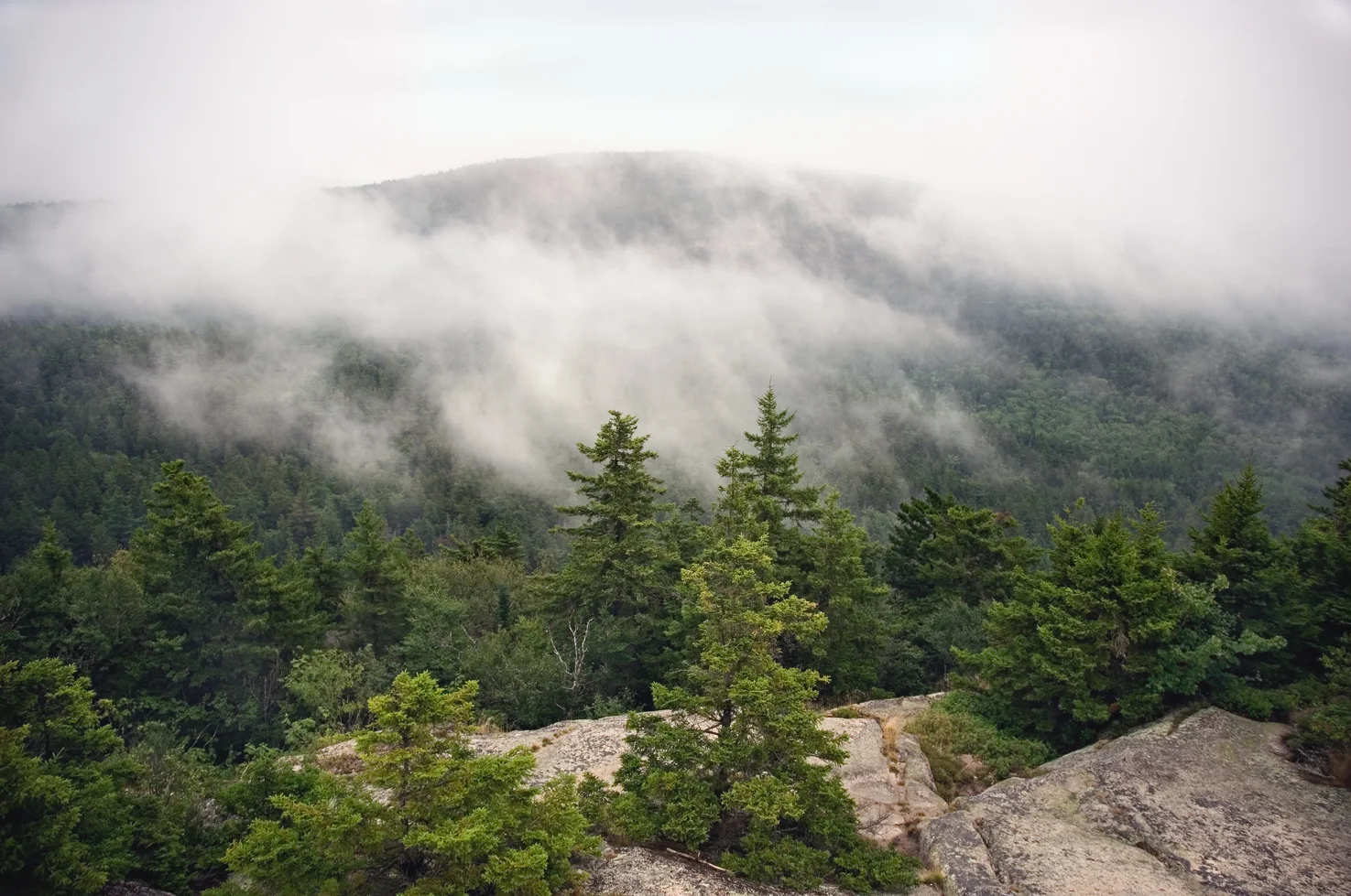 Fog_Over_Mansell_Mountain_sRGB.jpg