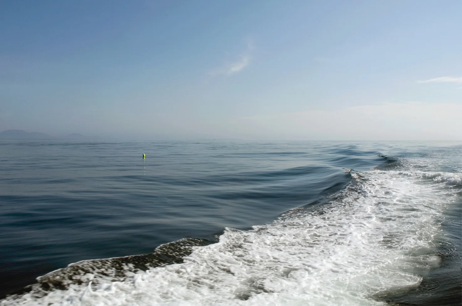 Left_In_The_Wake_sRGB.jpg
