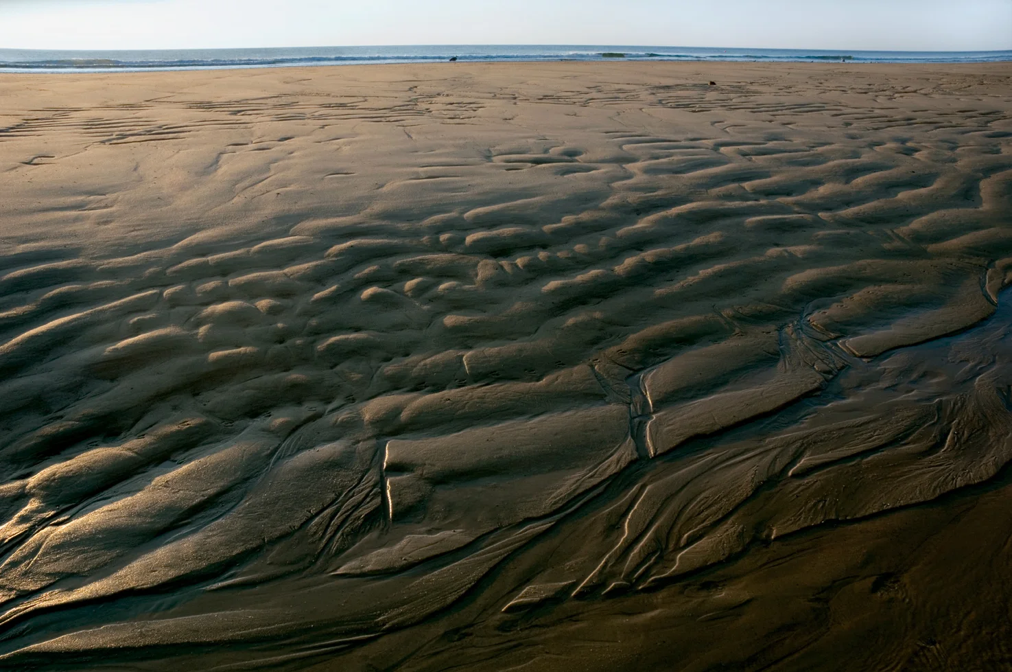 Rippled Sand