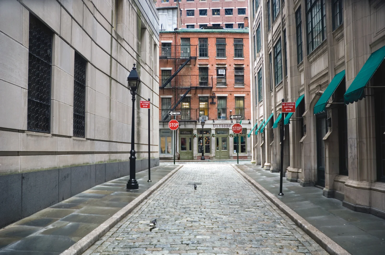 Cobblestoned Street