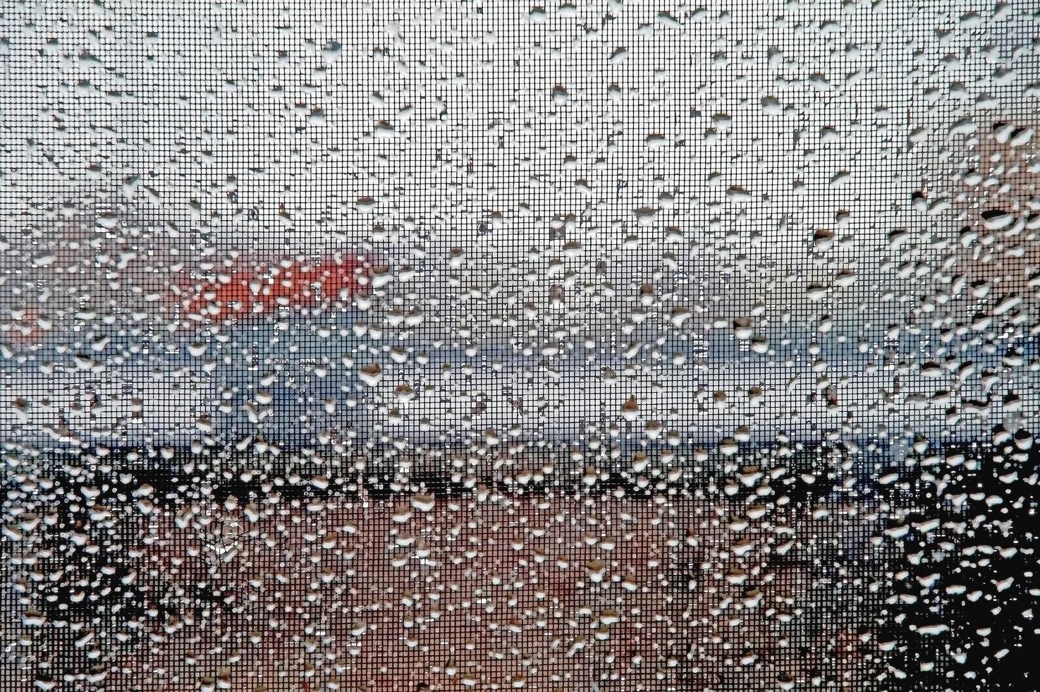 Raindrops On Window Screen