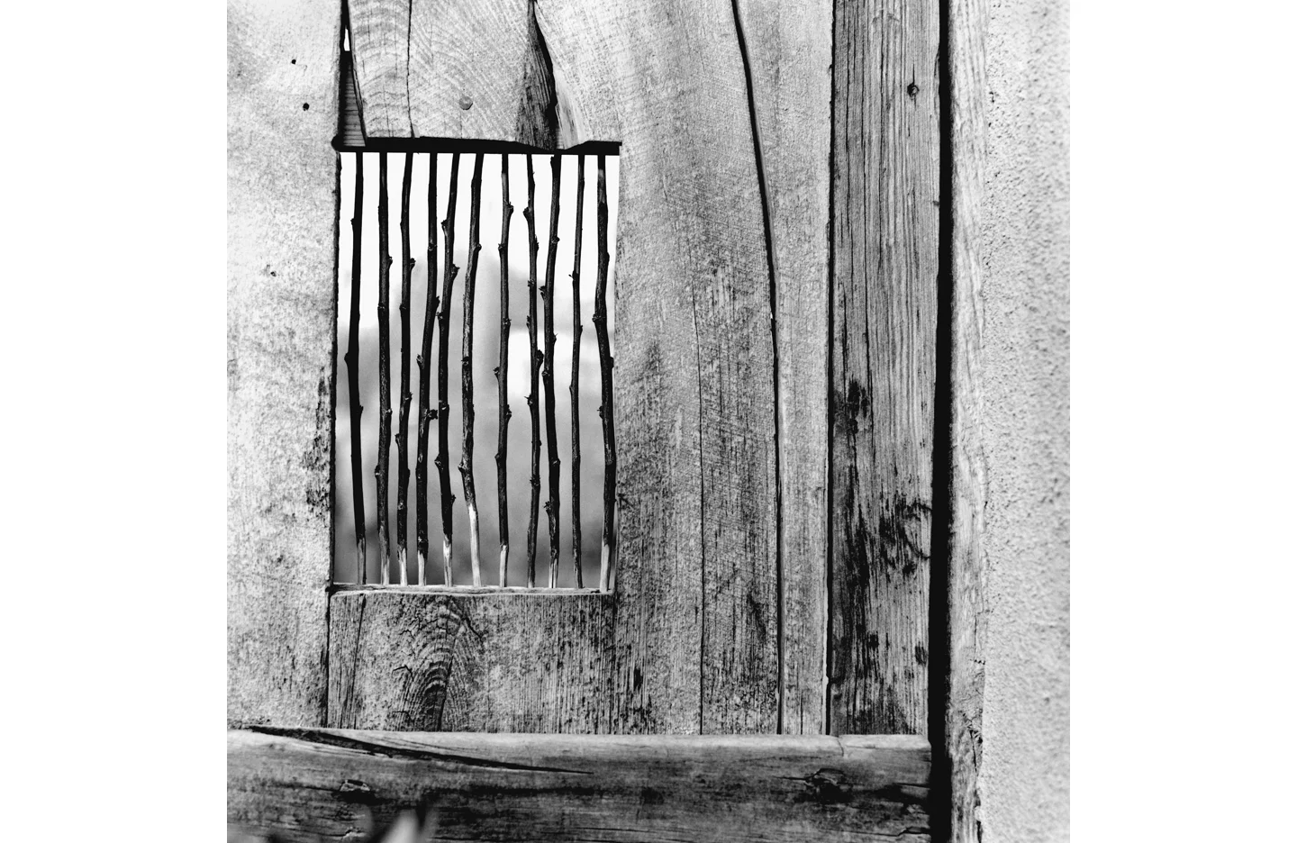 Nourie_Stick_Window_2013.jpg