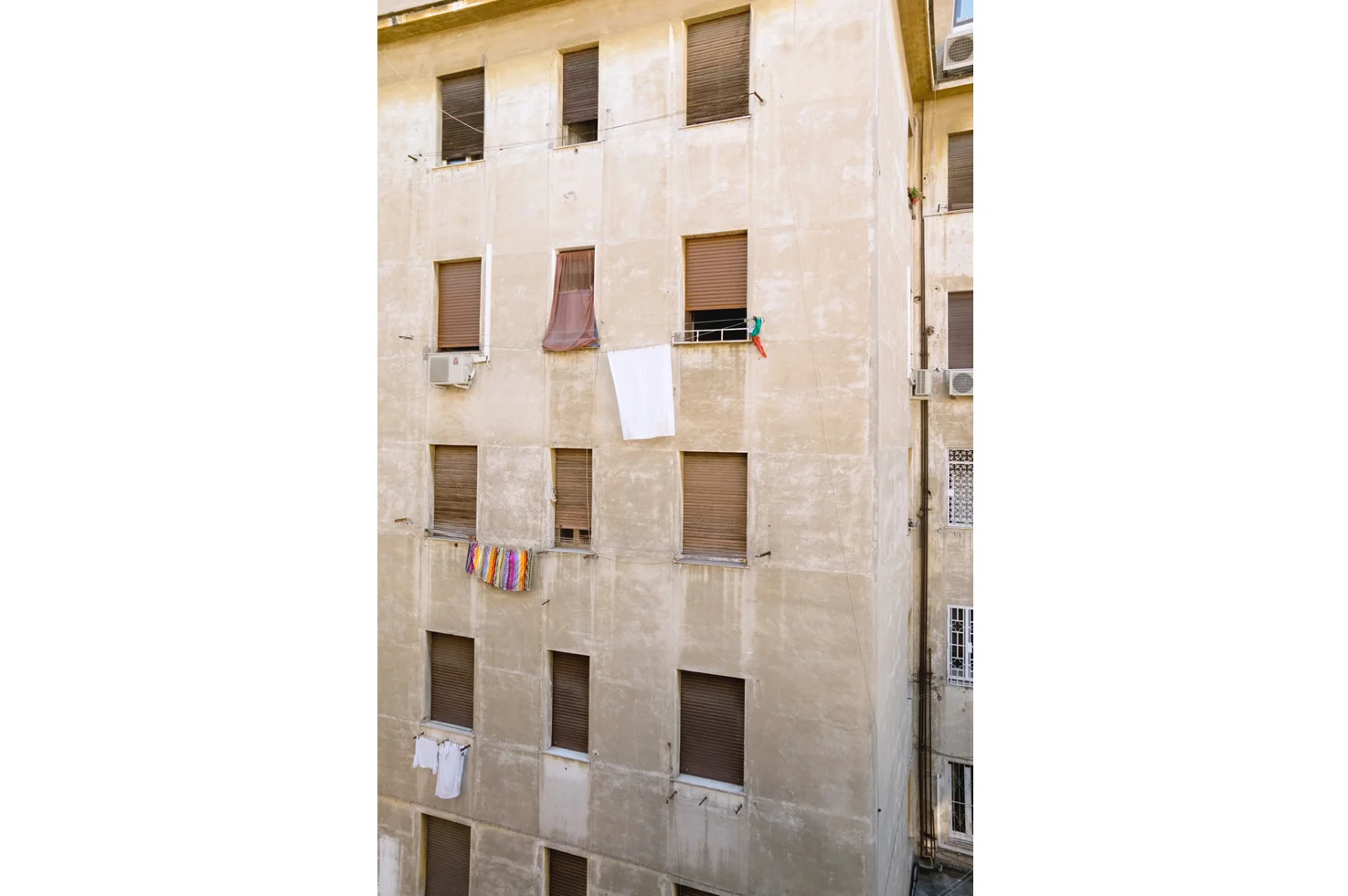 Nourie_Out_My_Window.jpg