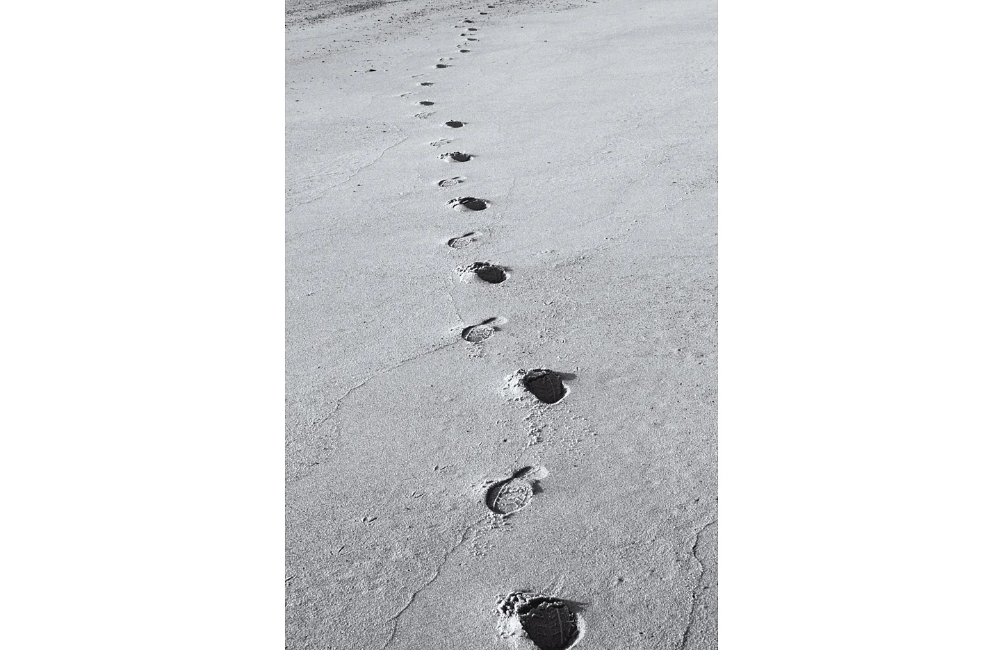nourie_sand_footprints_web.jpg