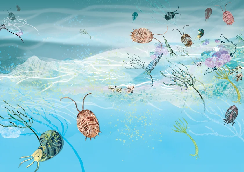 A4_Devonian_BG_w.jpg