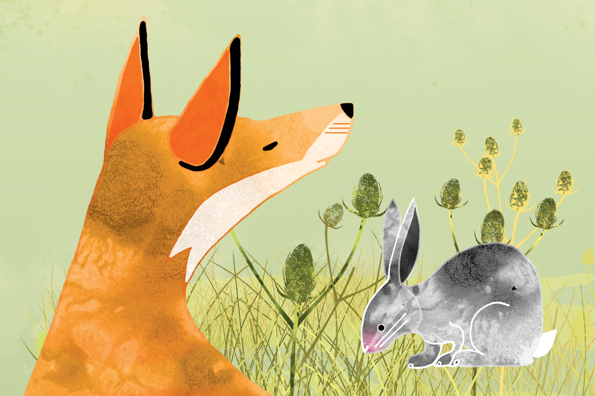 illustrated_animals_fox_rabbit_wall_mural_visitor_centre.jpg
