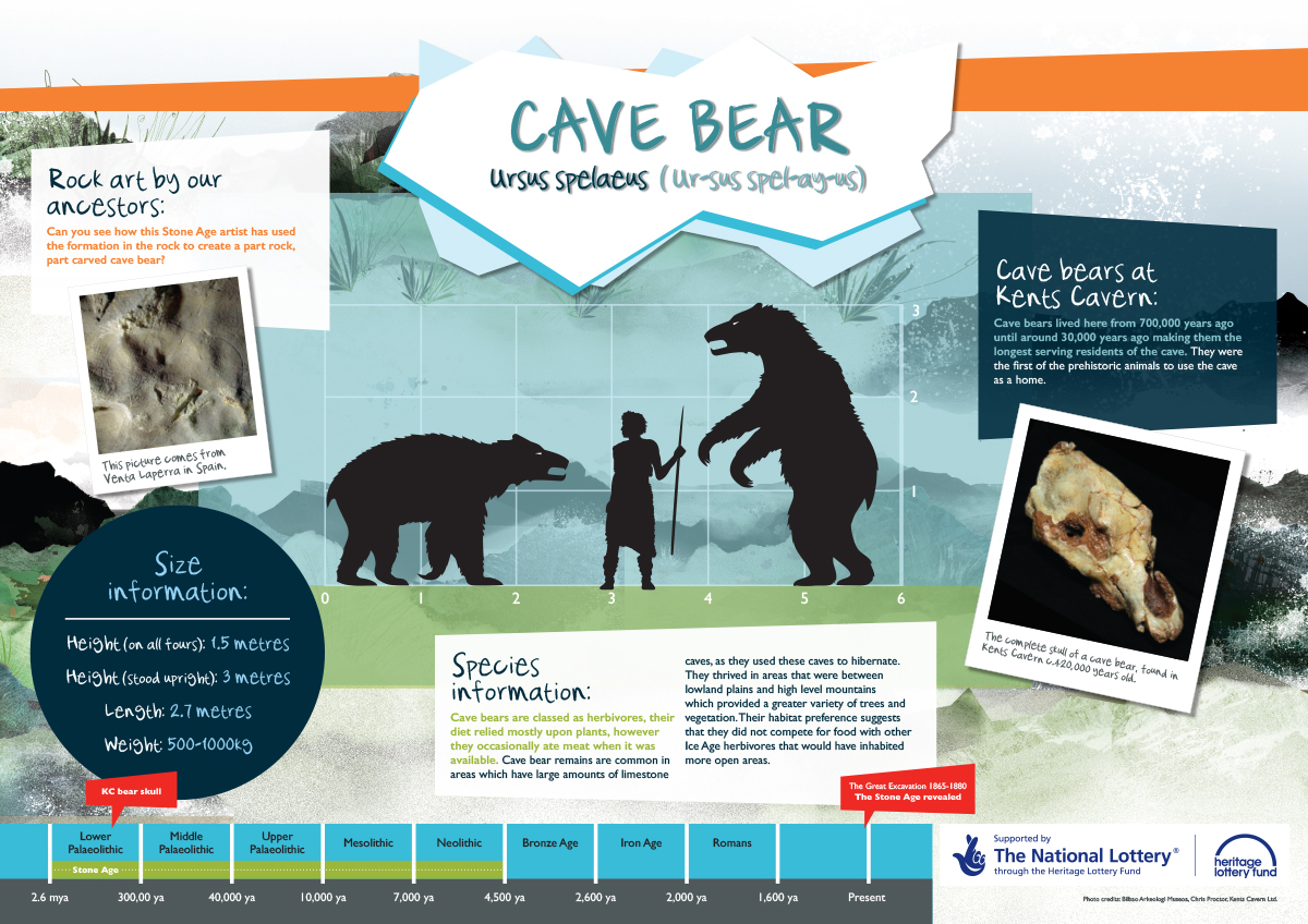 cave_bear_ice_age_interpretation_information_boards_educational_graphic_design_illustration.jpg