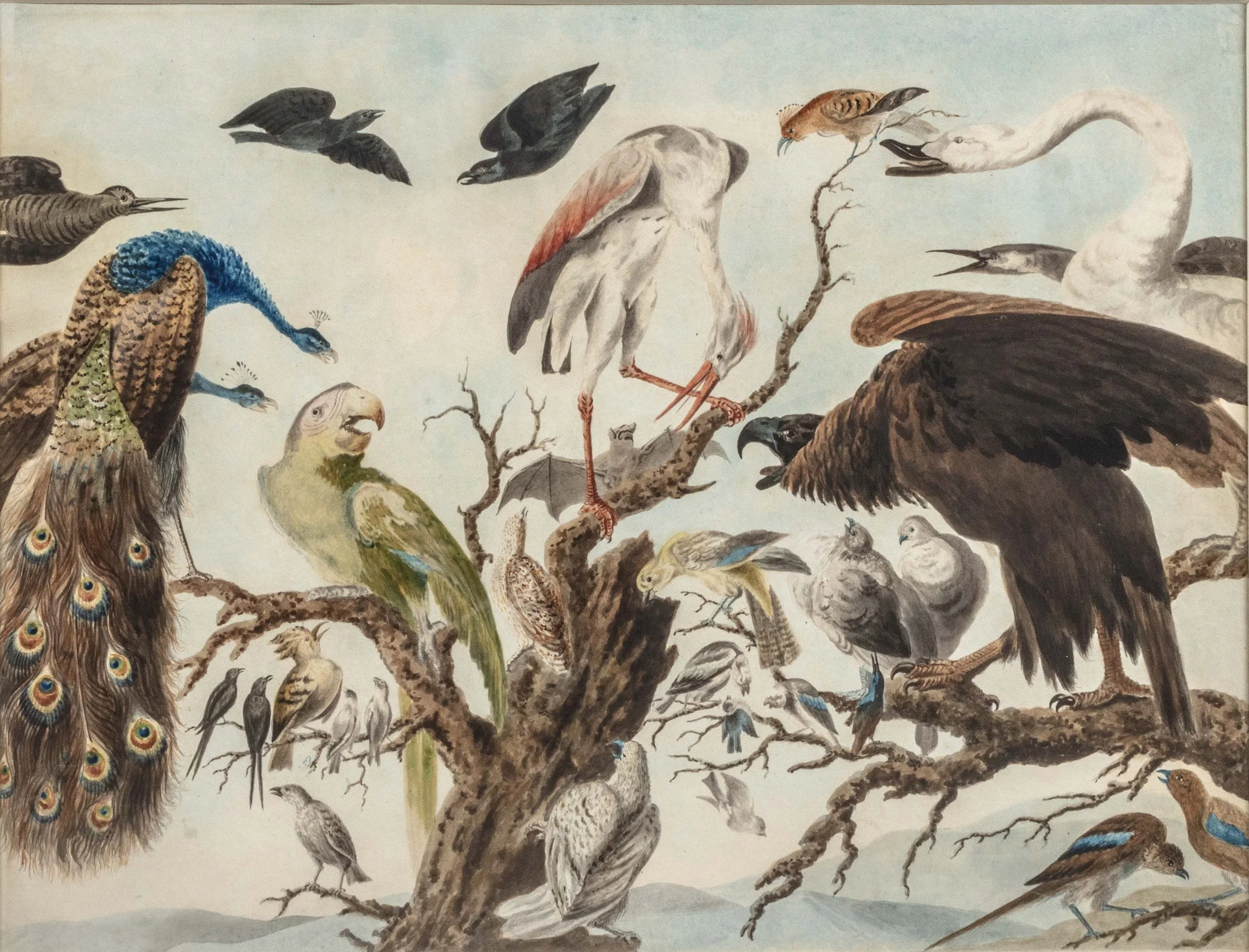 Continental School c 1800, A Concert of Birds.