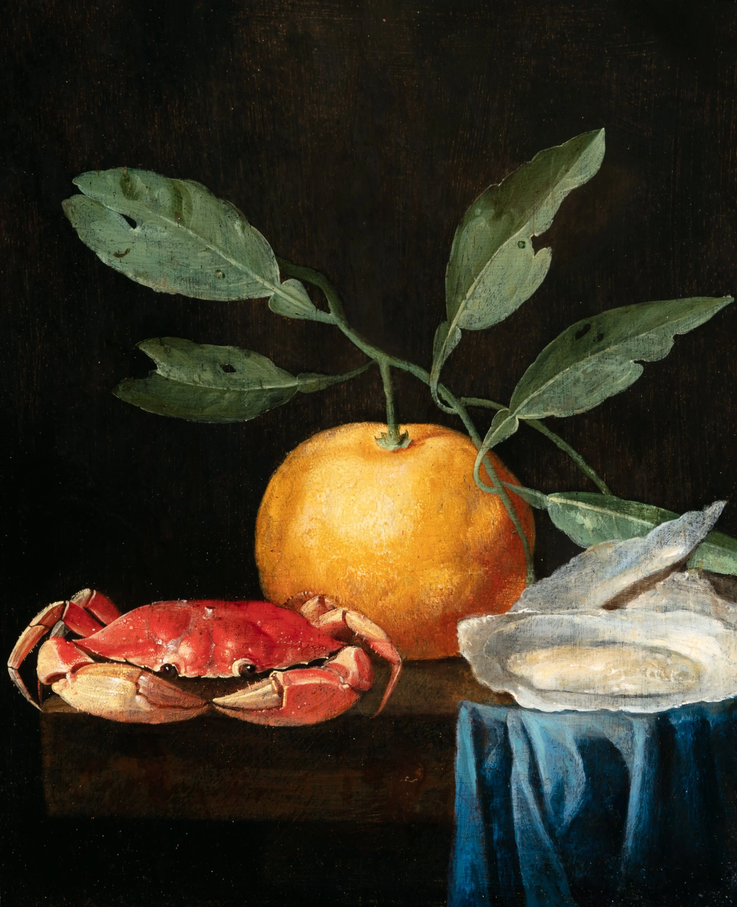 Deynum, G, Still Life with Orange and Crab.