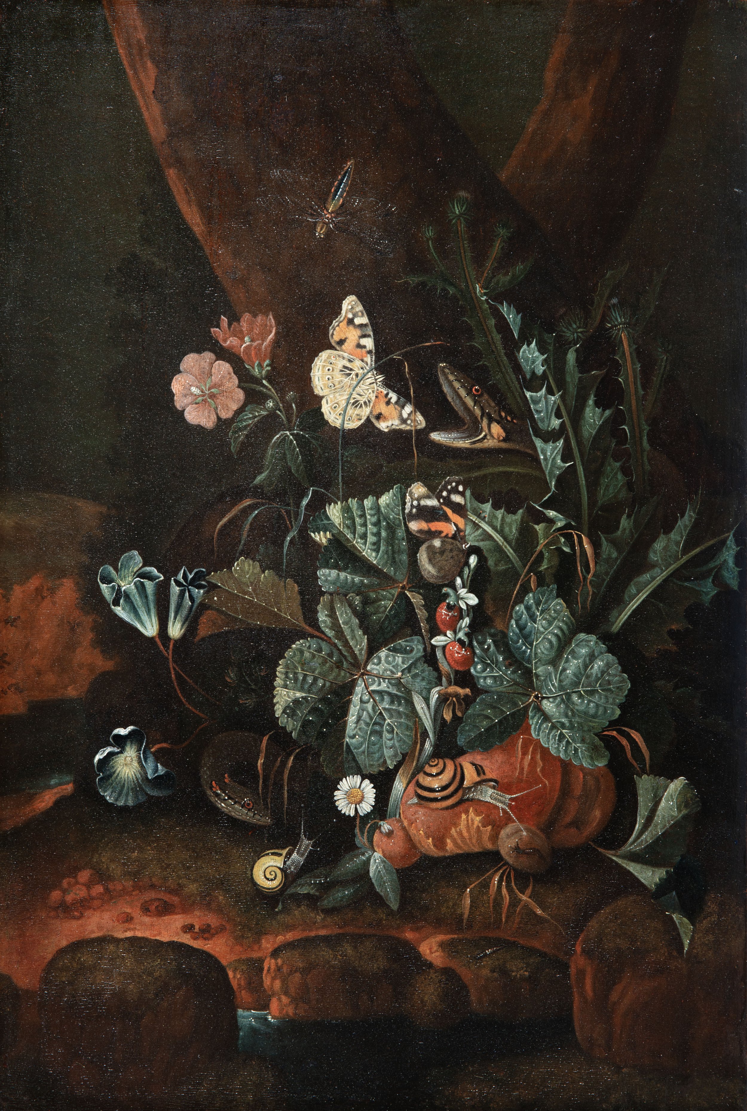 Johann Falch, A Forest Floor with Flowers, Thistles, Snakes