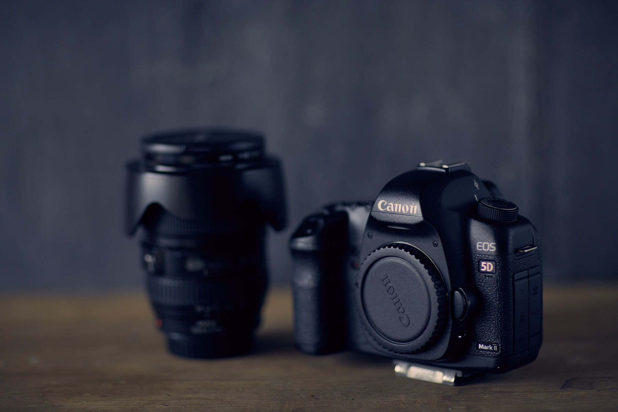Canon 5Dii and 24-100L lens