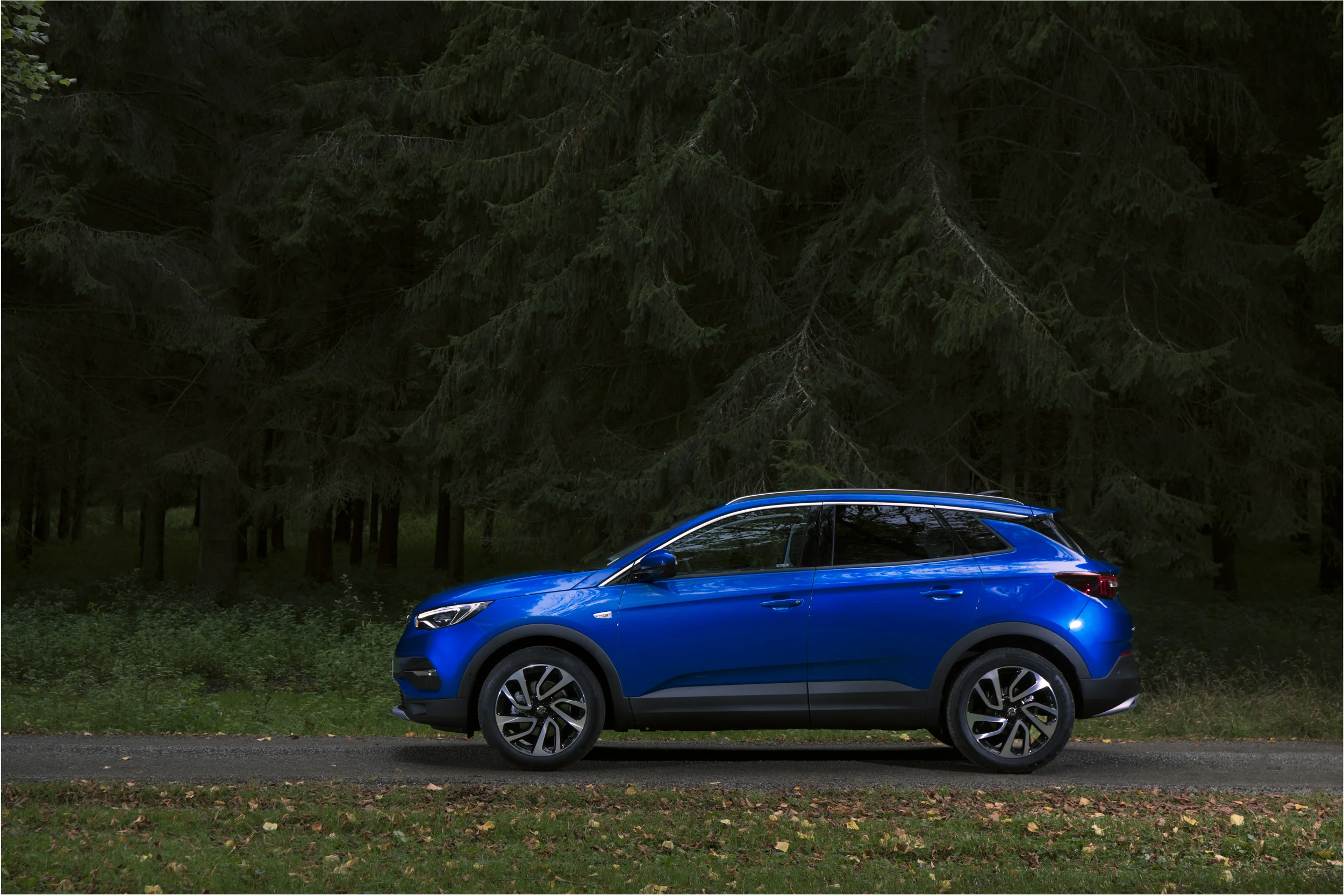 GrandlandX_profile_1.jpg