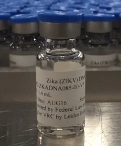 All Disease is Local