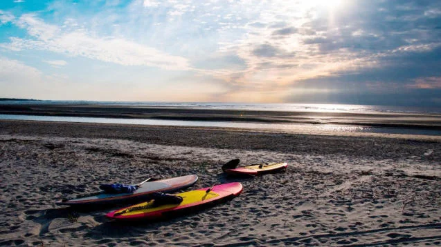 st.simons island pic.jpg