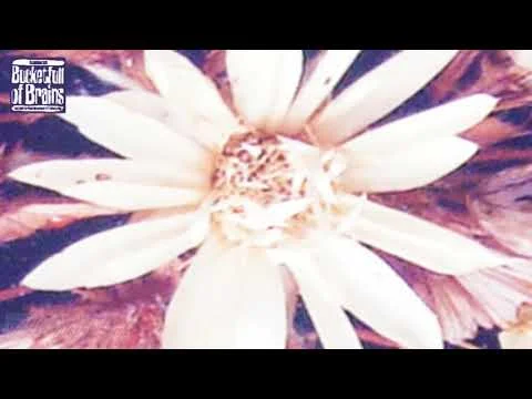 Trent Miller -Time Between Us - Album Trailer