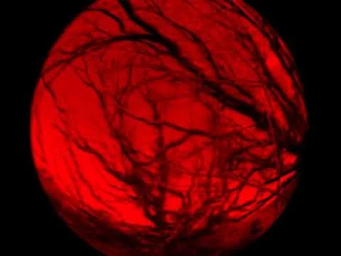 Trent Miller - How Soon Is Never (OFFICIAL VIDEO)