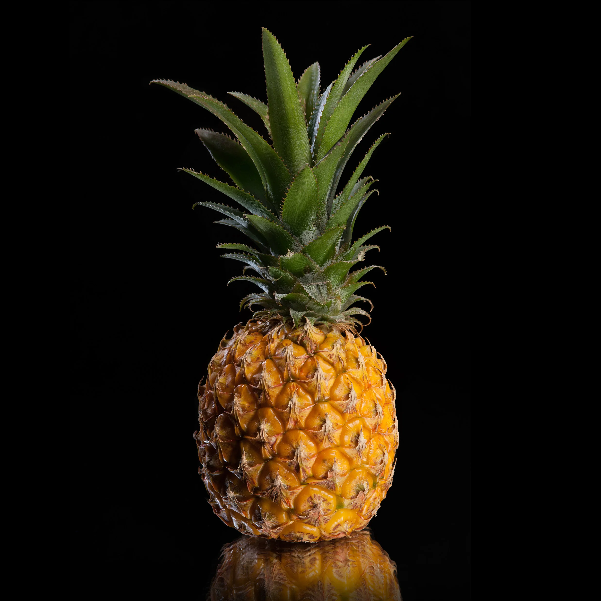 2016-Ananas-Janvier-01.jpg