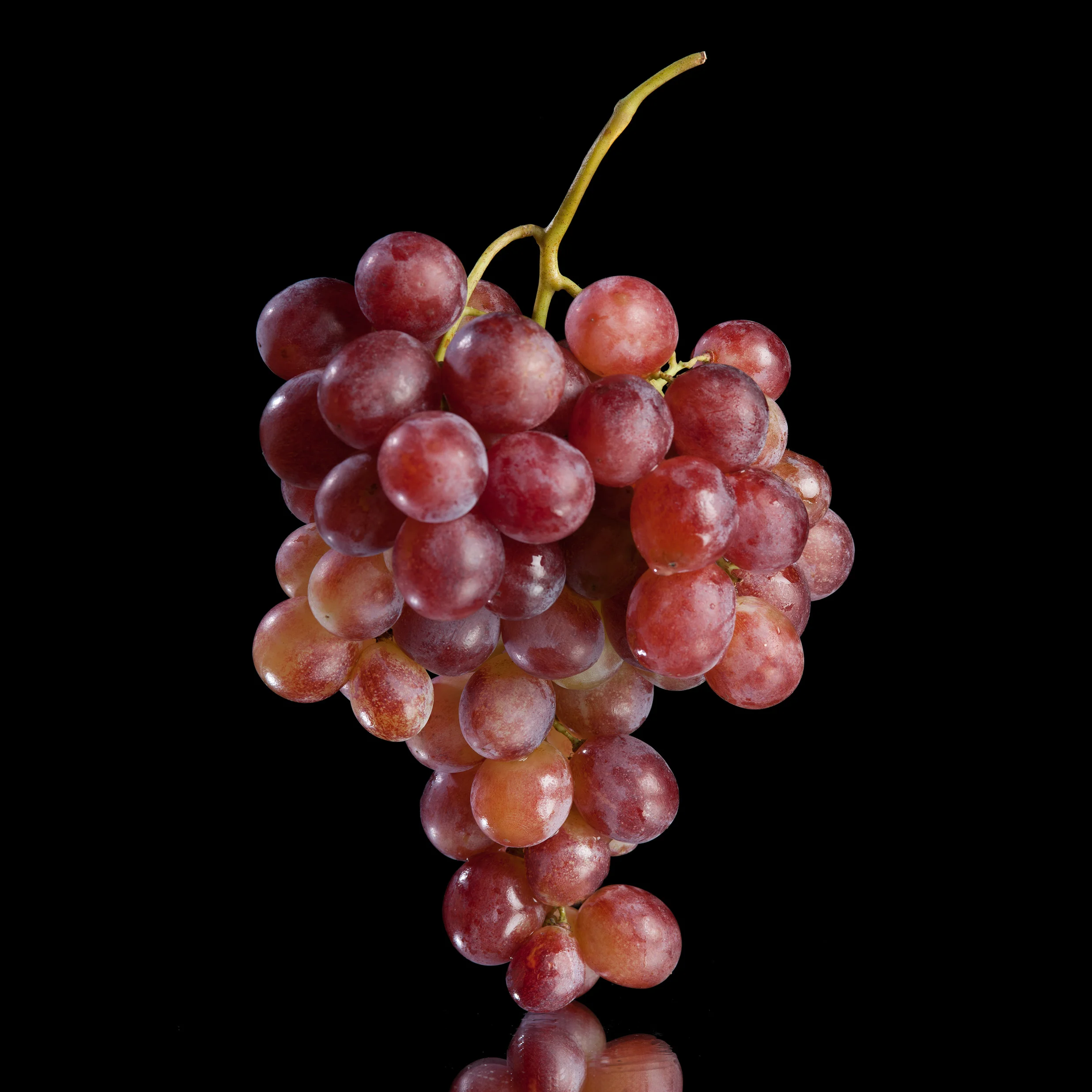 2016-Raisin Moscatel-Février-01.jpg
