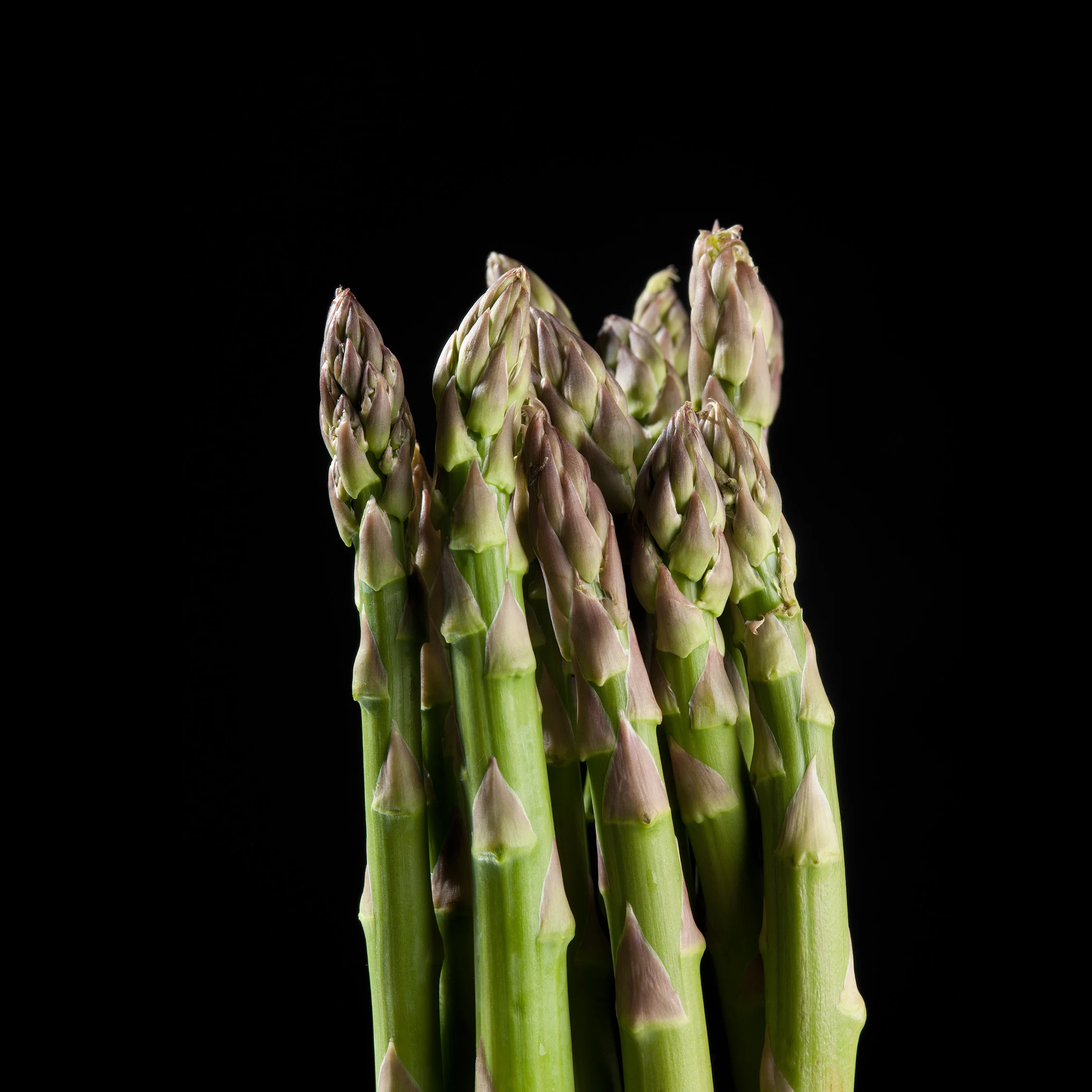 2016-Asperge verte-Juillet-01.jpg
