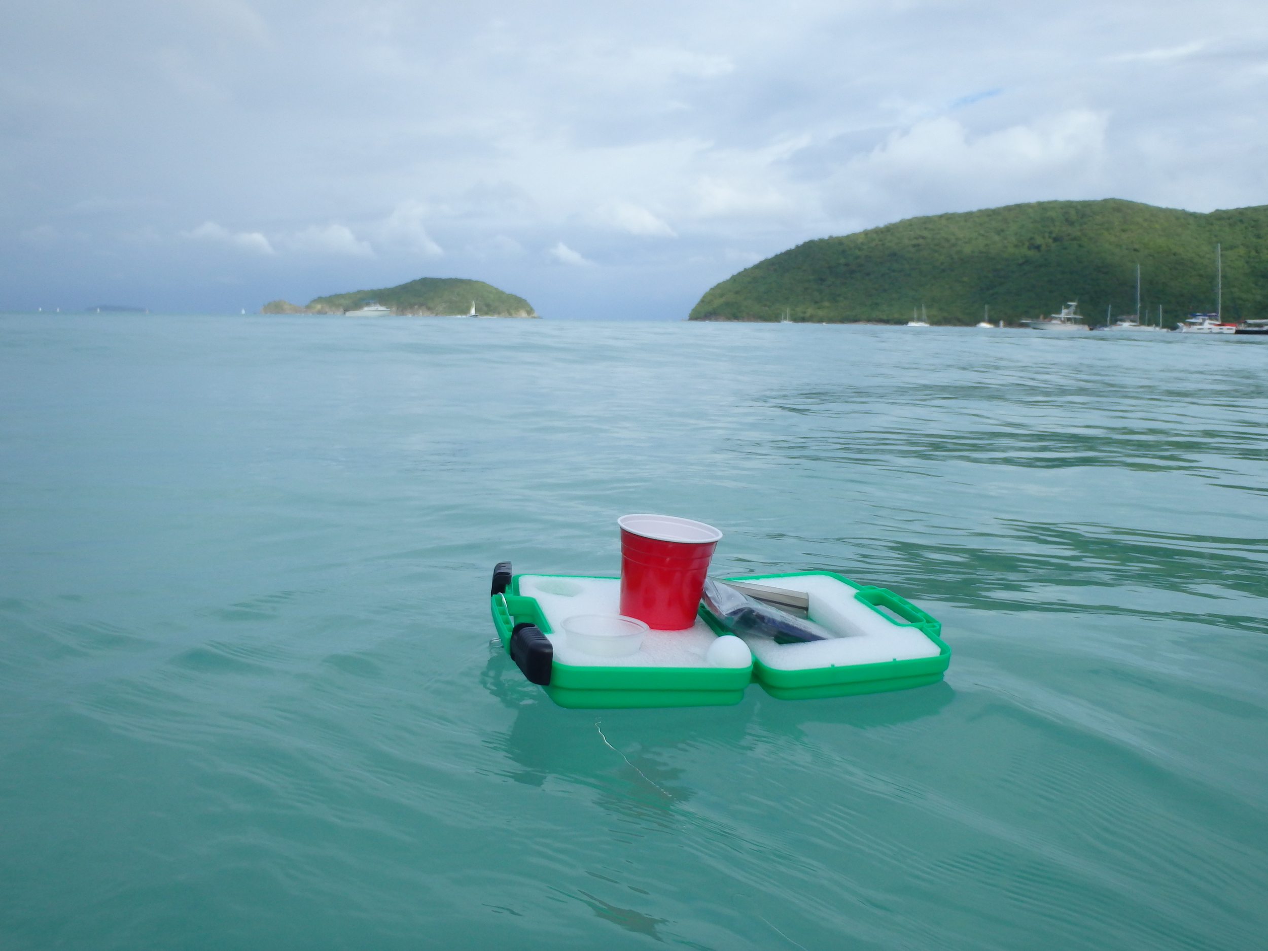 FV, distant bay view.jpg