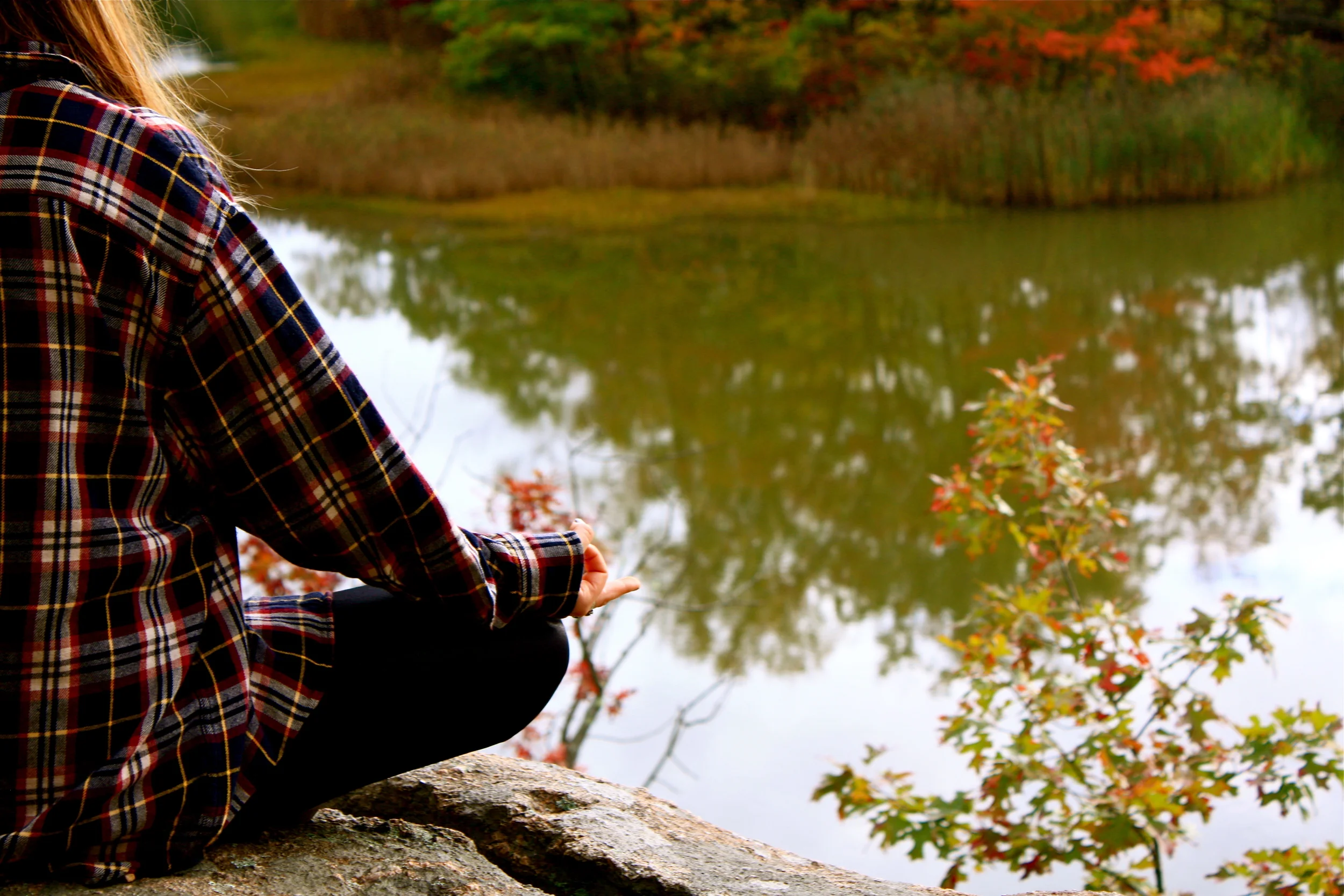Lost Lake Mediation