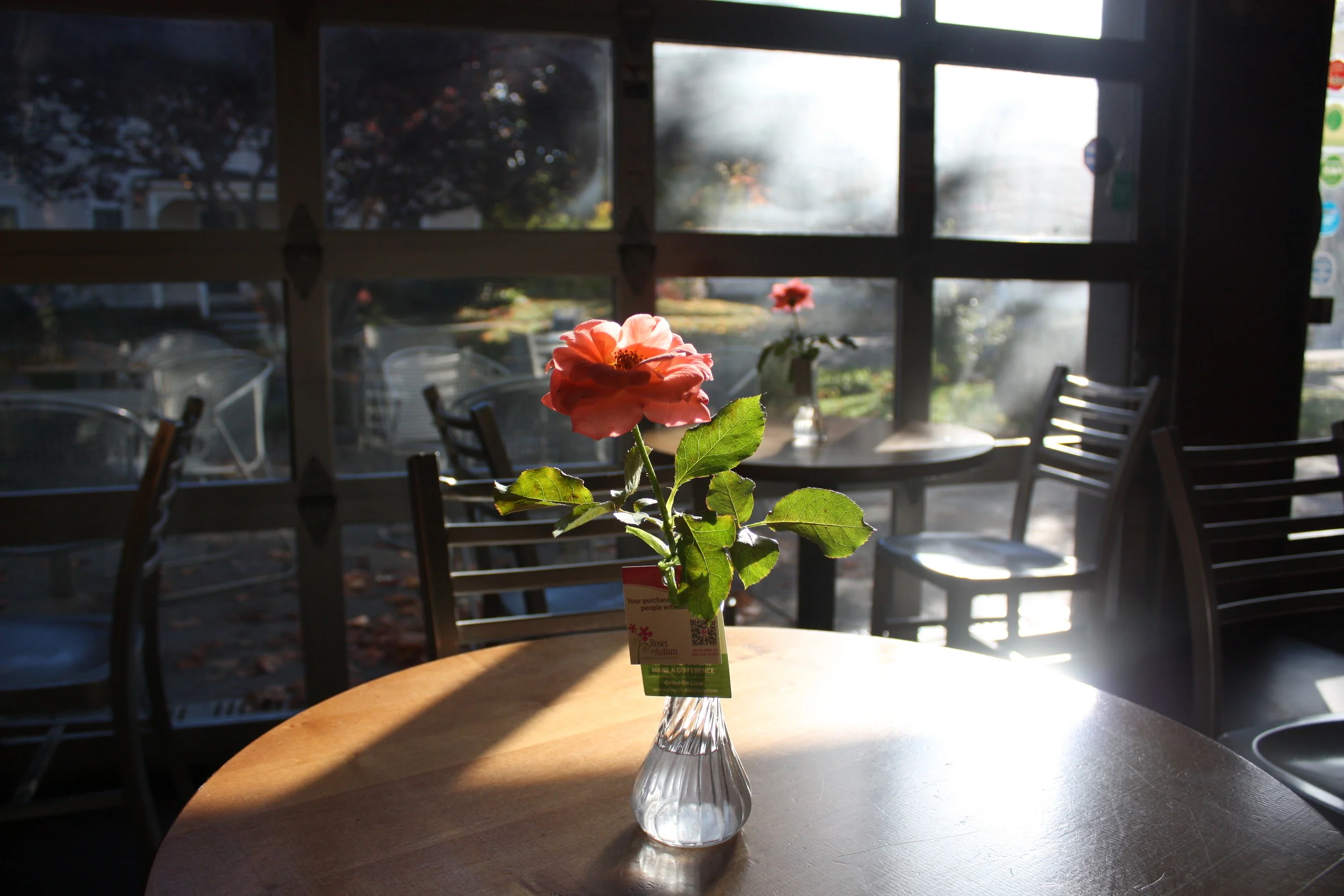 The Sweetness of Self Love