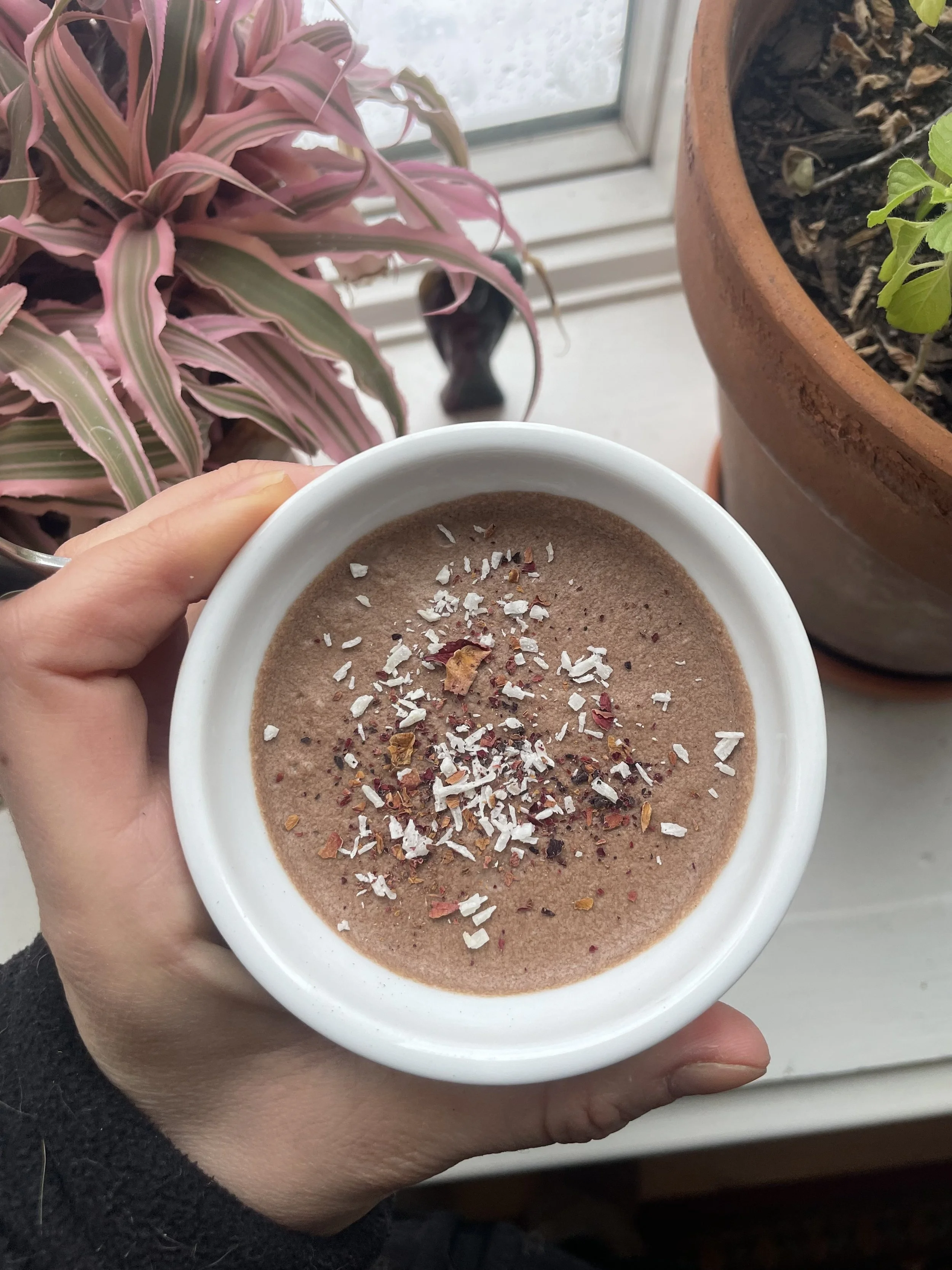 Healthy Chocolate Mousse