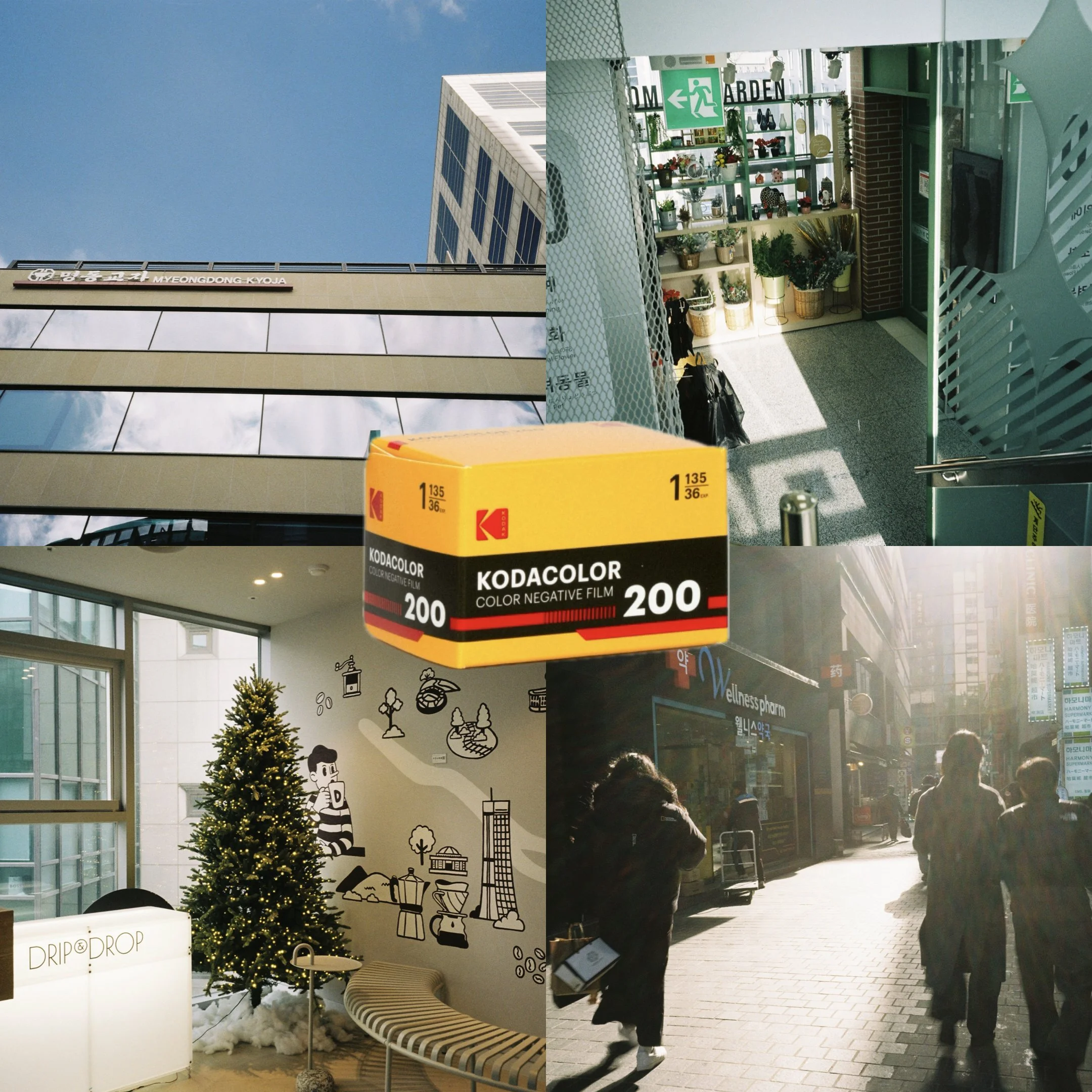 SCRL_0006.JPG