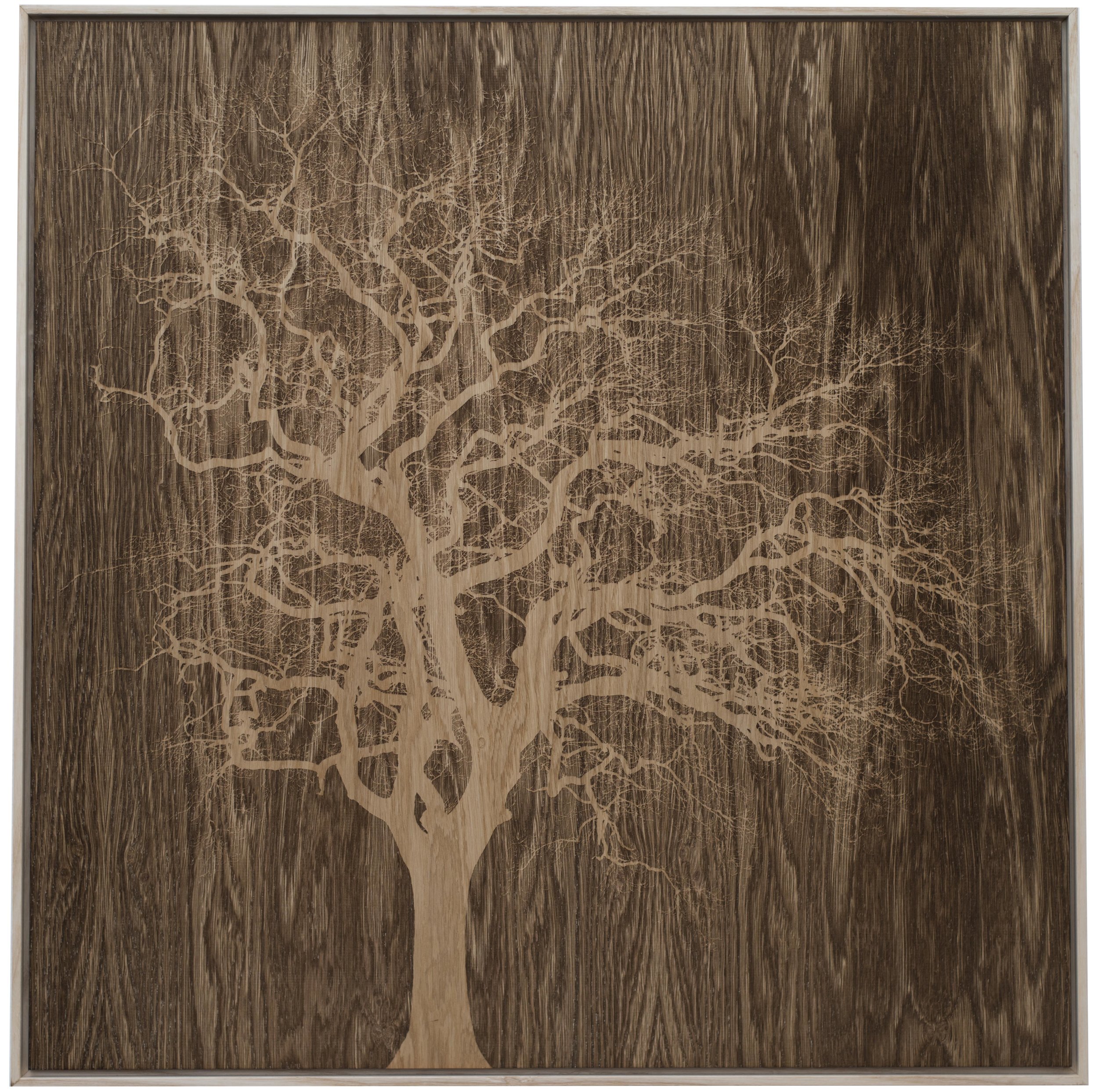 Oak in Little Hereford 1.jpeg