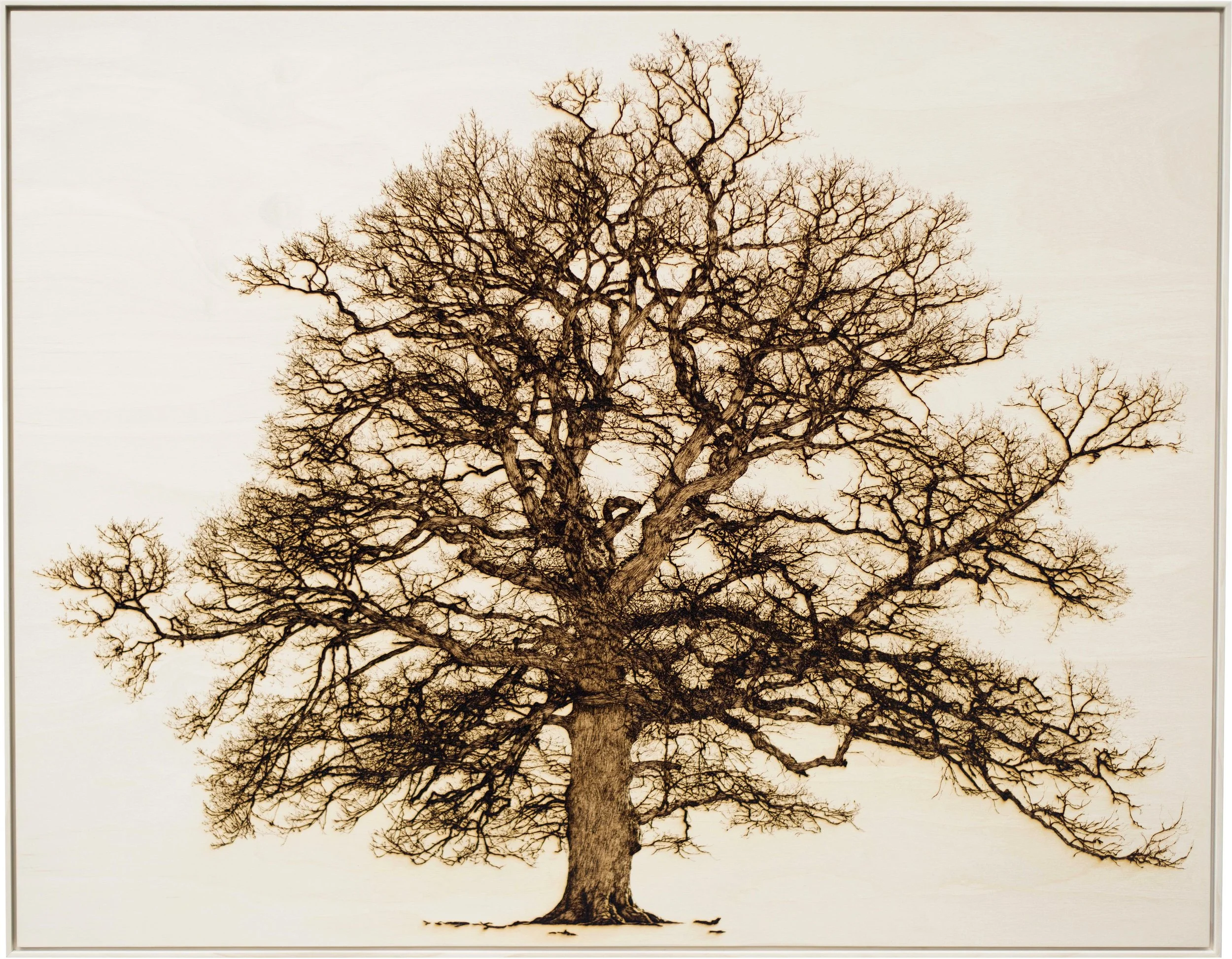 'Oak in Garth' Front.jpg