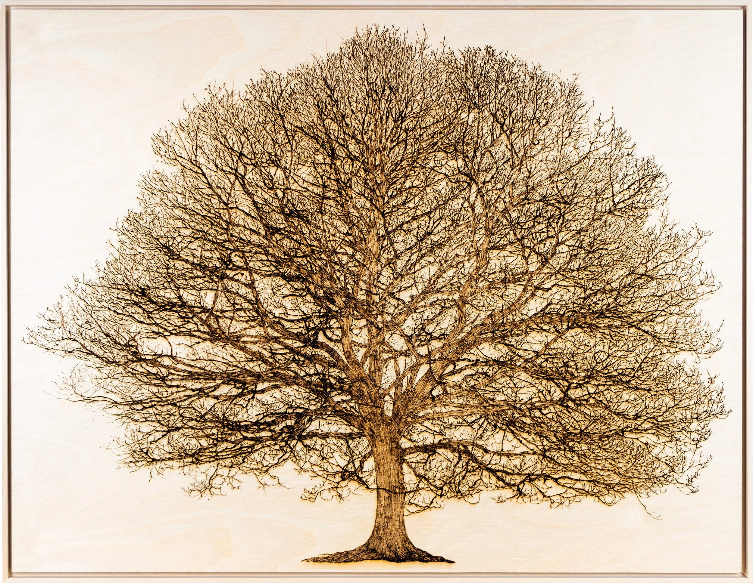 Oak in Elan Valley Front.jpg