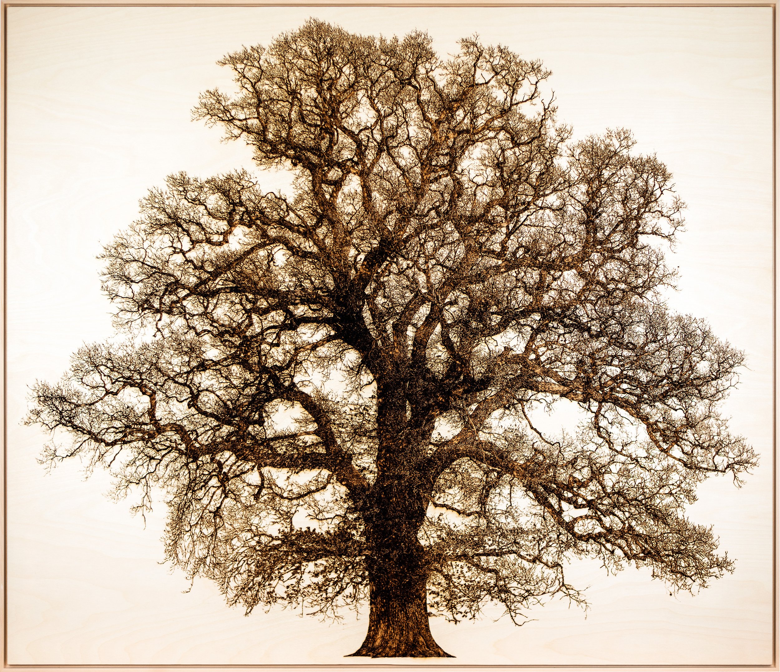 Oak in Pentre Front.jpg