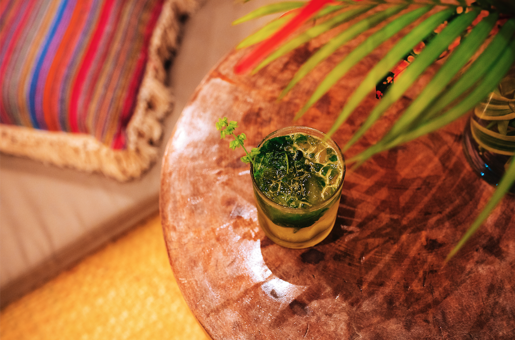 A refreshing drink with lime and mint in a glass, garnished with a small sprig of cilantro on a wooden table, with a potted plant nearby.