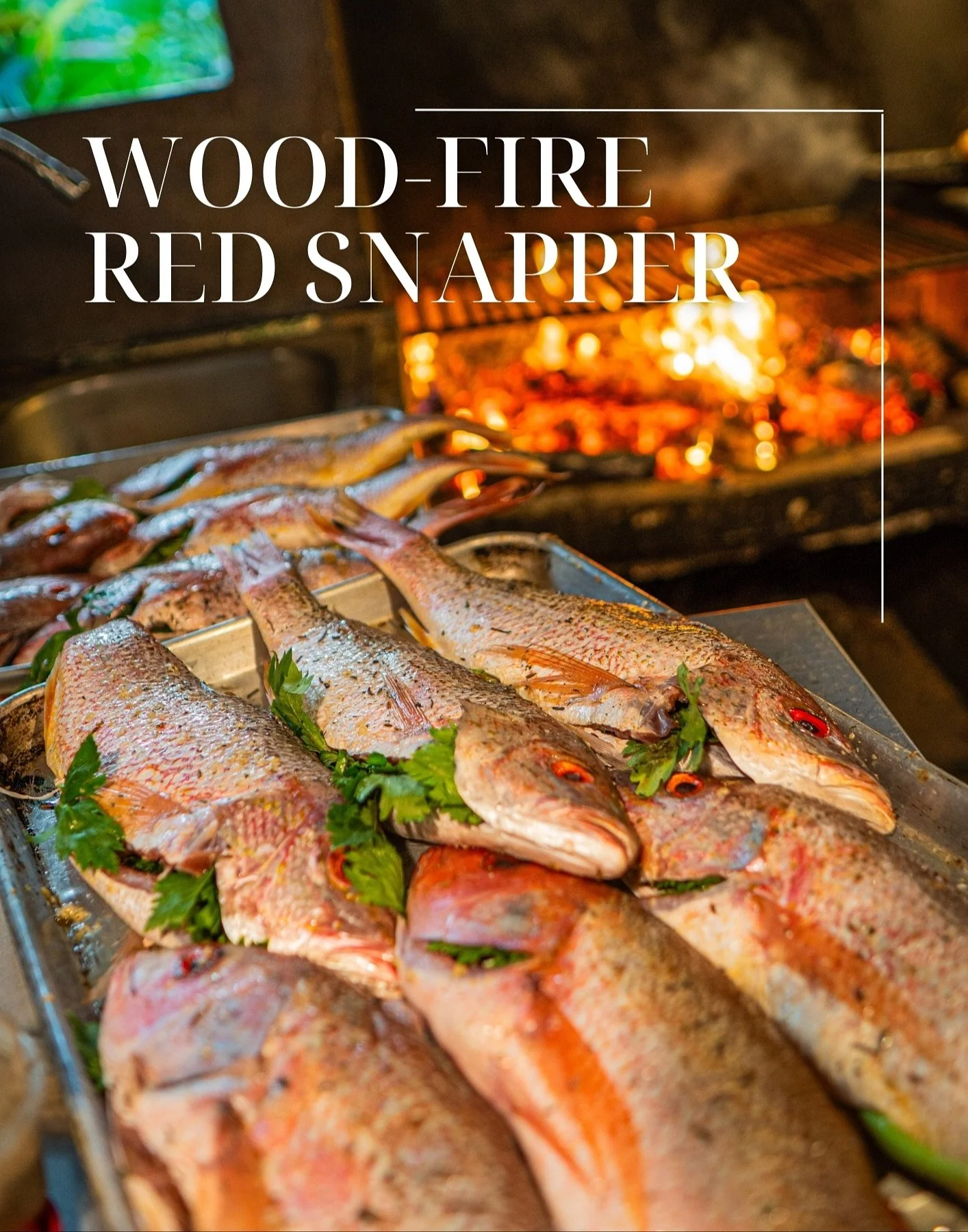 From ocean to fire, to your table. 🌊🔥🐟
Our Wood-Fire Whole Red Snapper is freshly caught, grilled over open flames, and finished with smoky chipotle aioli. A dish that captures the pure flavors of Costa Rica&mdash;simple, fresh, and unforgettable.
