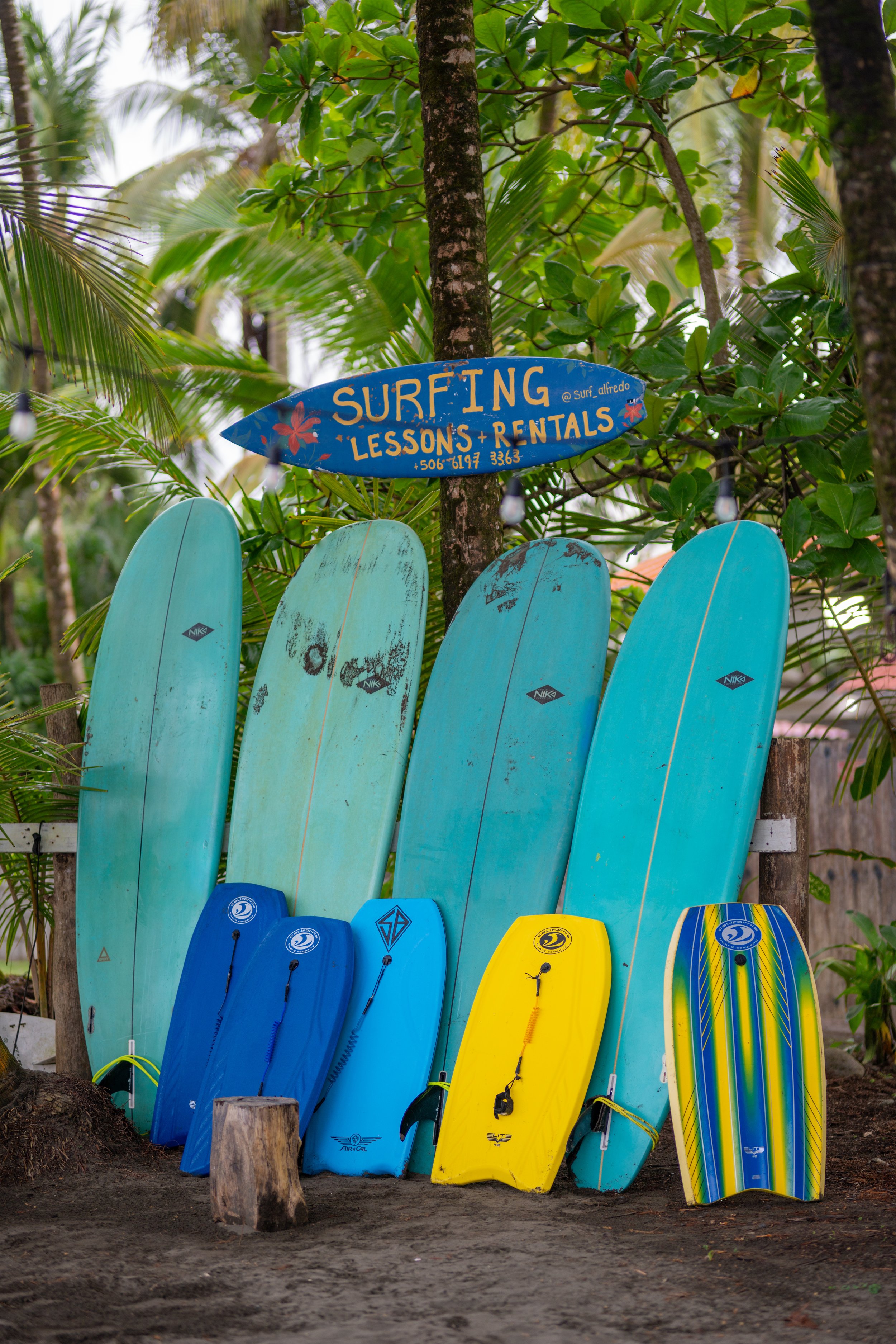 Colorful surfboards are lined up against a wooden fence among lush green tropical plants, with a blue surf lessons and rentals sign hanging on a tree.