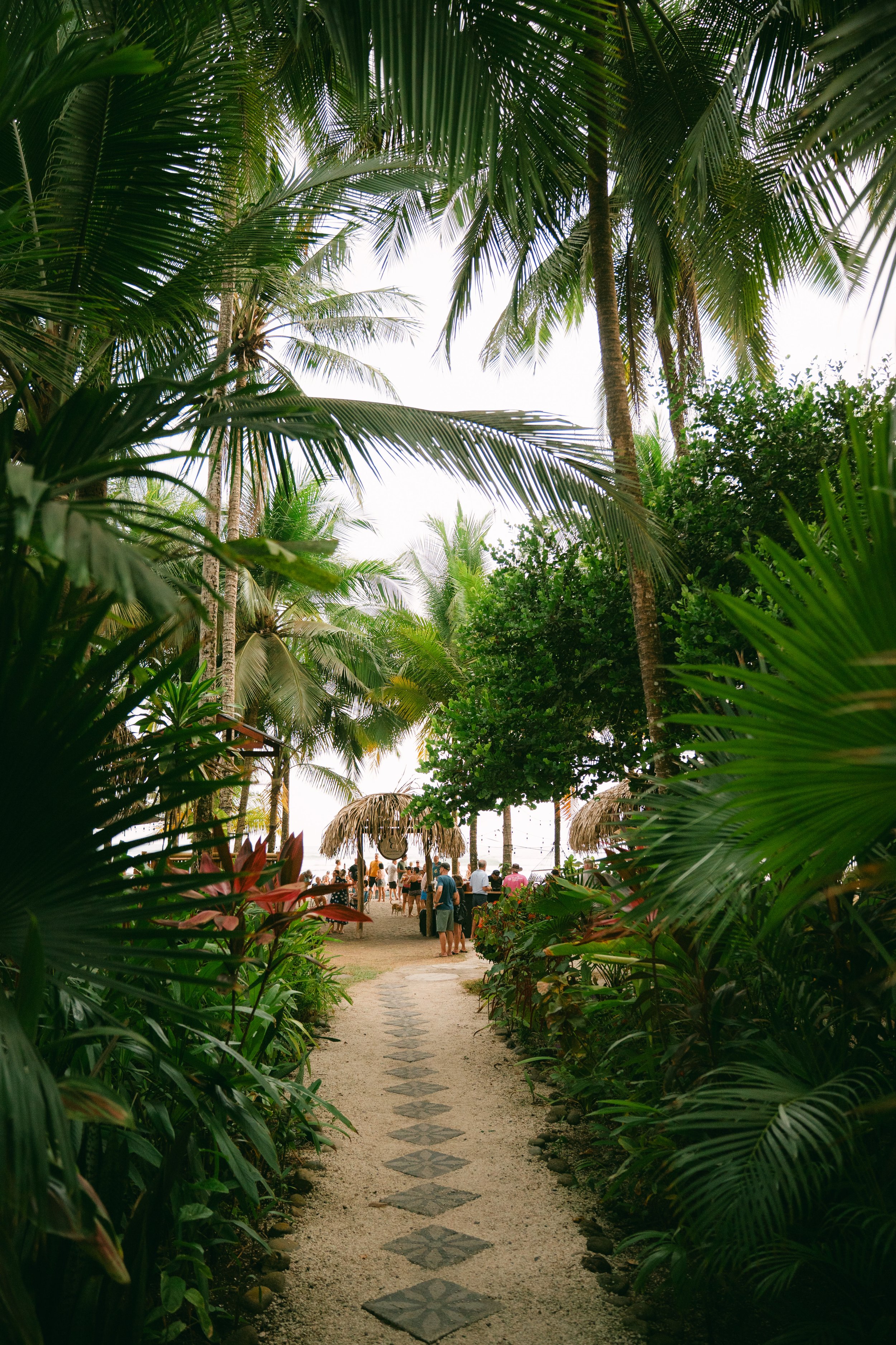 A beachside scene viewed through lush tropical green plants. A sandy pathway with decorative stone tiles leads to a thatch-roof hut, where people are gathered, with the ocean visible in the background.