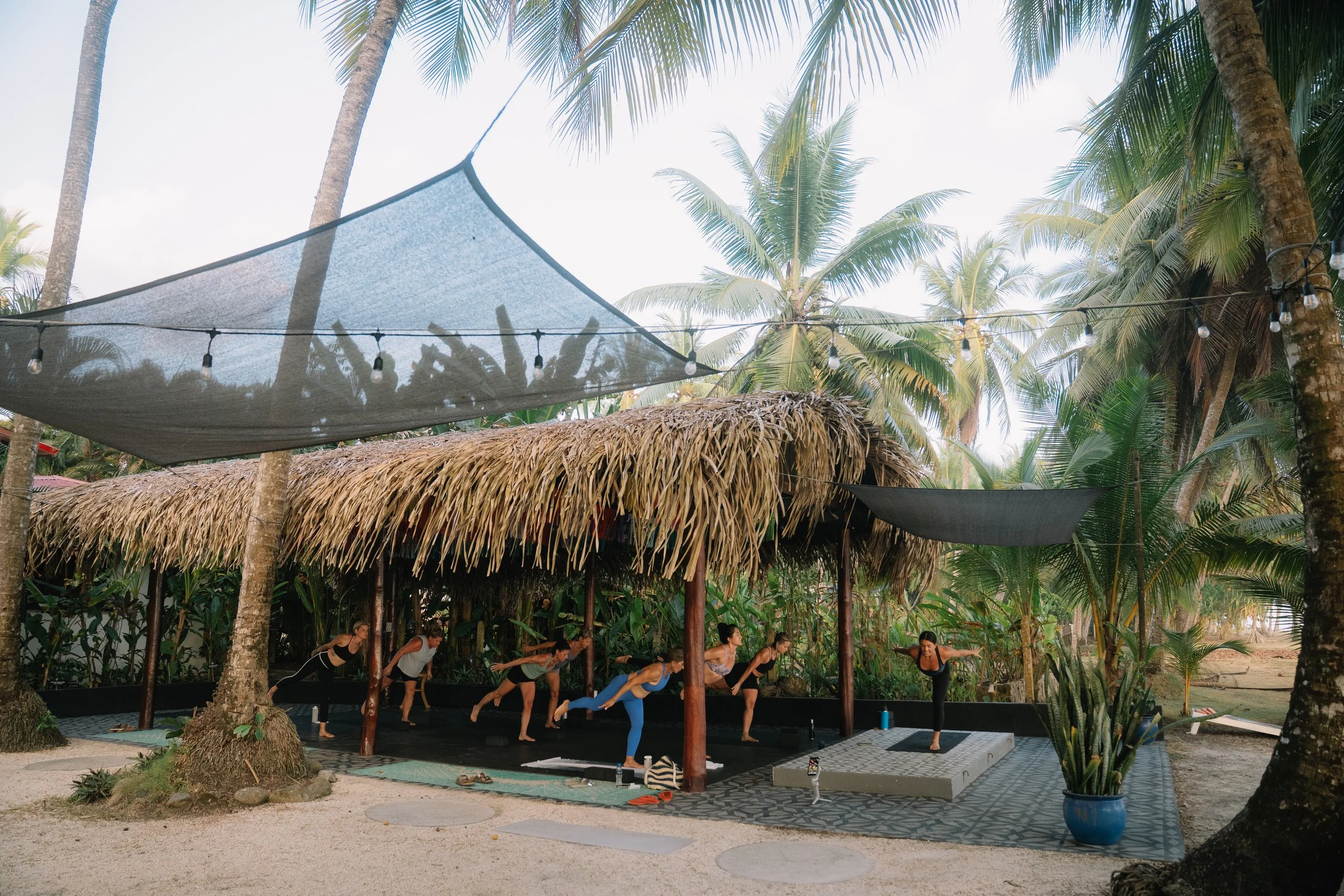 People practicing yoga outdoors under a thatched roof with palm trees and string lights in the background.