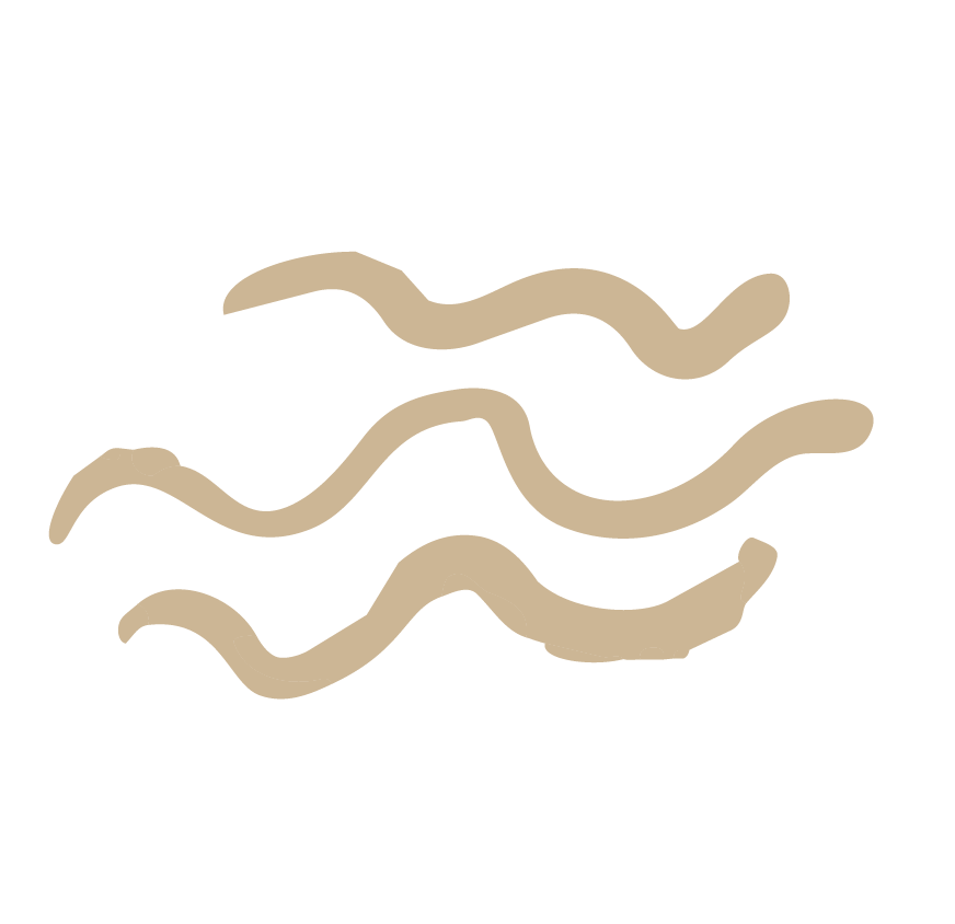 Illustration of four wavy beige lines on a black background, representing worms.