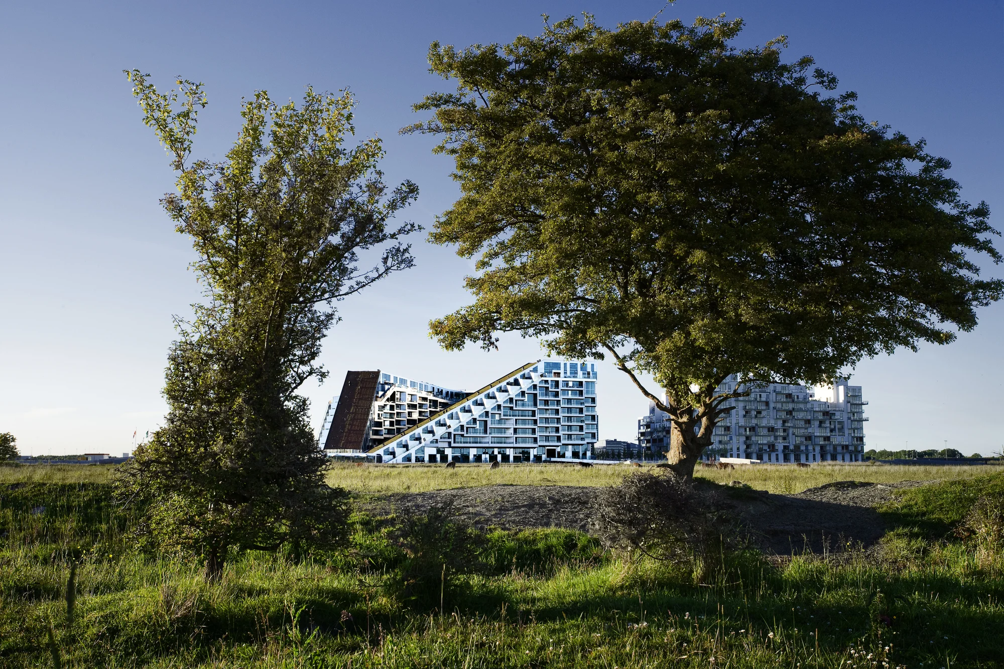 Client: St. Frederikslund Holding A/S