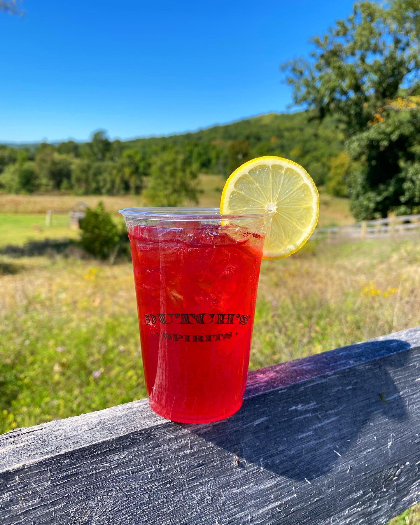 🍹

#DutchsSpirits #PinePlains #newyorkgram #hudsonvalleyeats #hudsonvalleyfood #dutchesscounty #columbiacounty #hudsonvalleyhappenings #hvmag #upstateny #andnorth #upstater #northofnyc #summercocktails #summerdrinks #prettydrinks #cocktailgram #imbi