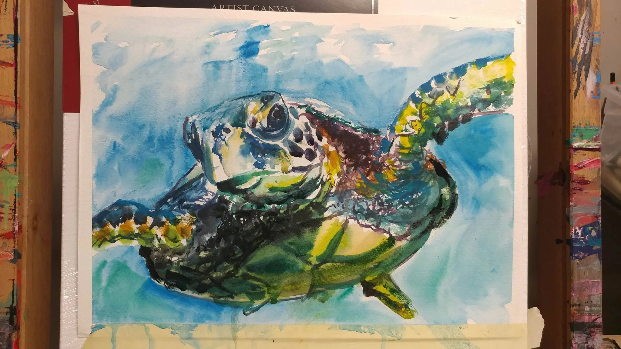 Sea Turtle