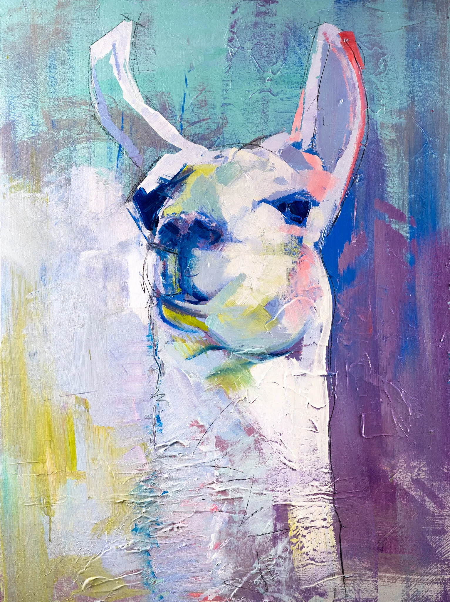 Llama