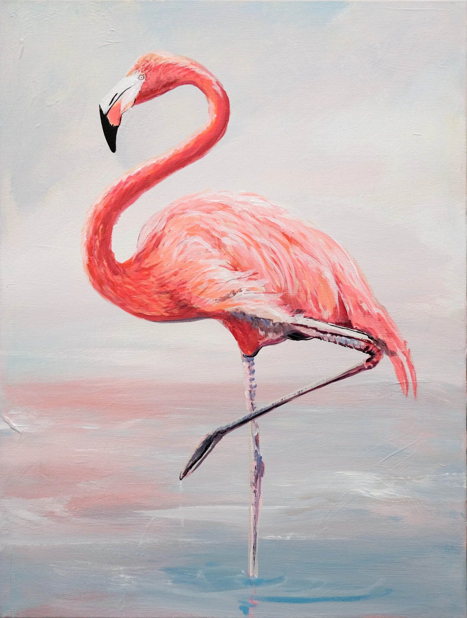 Flamingo