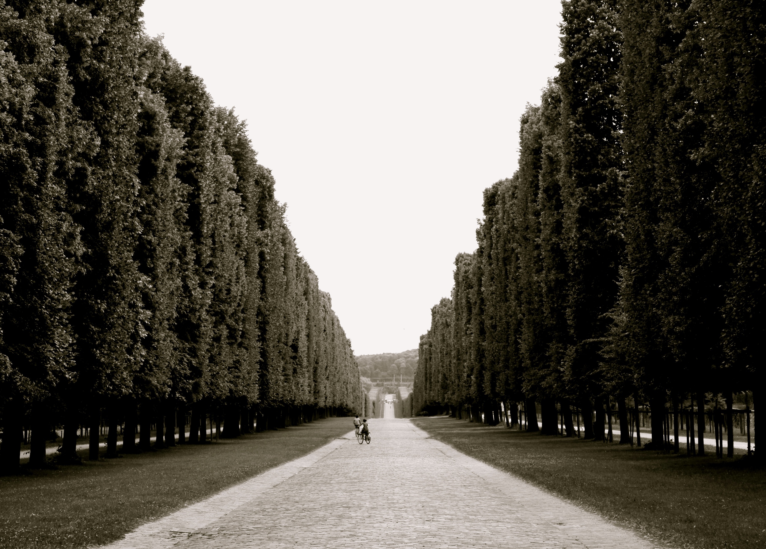 2010 / Versailles