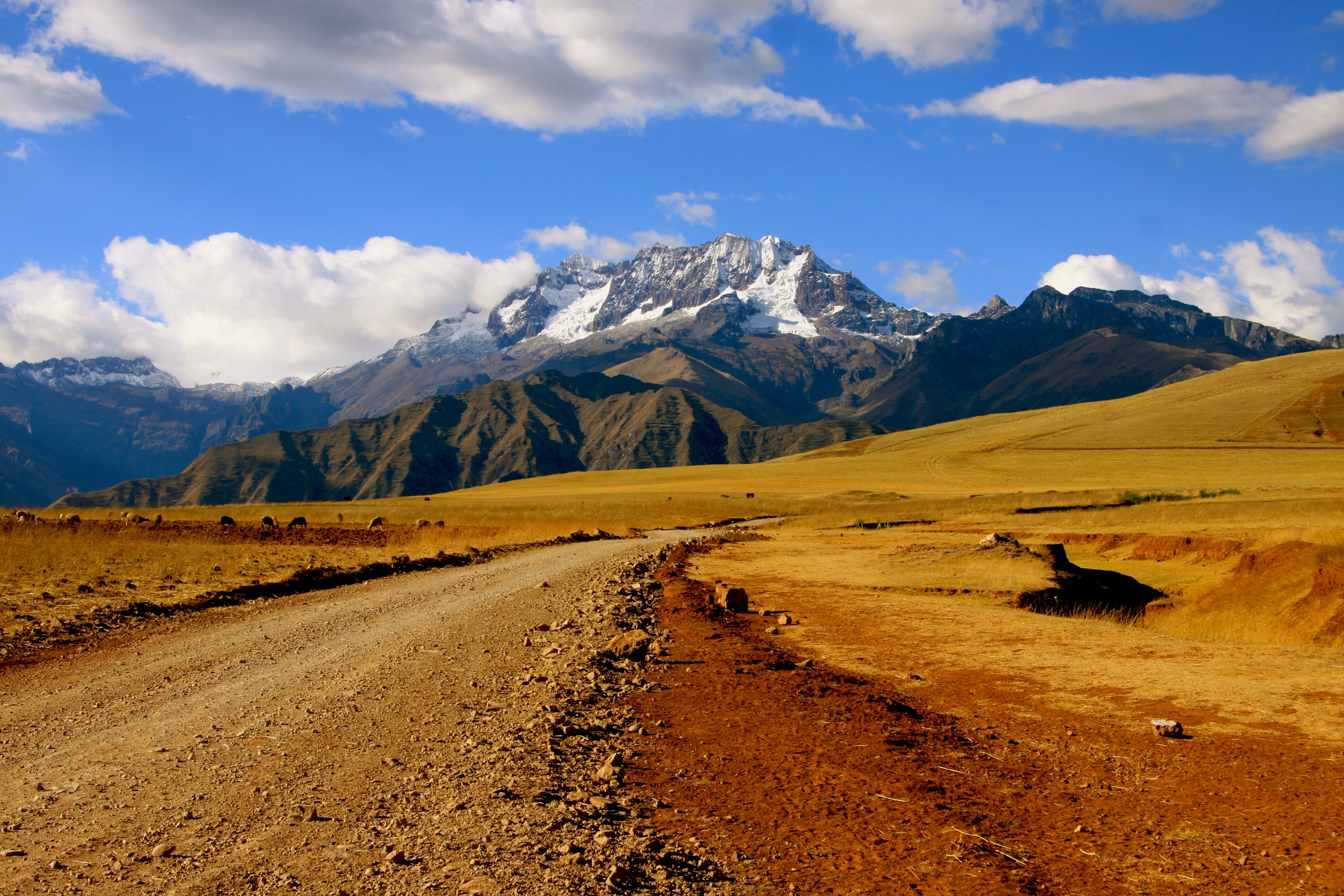 2009 / Peru