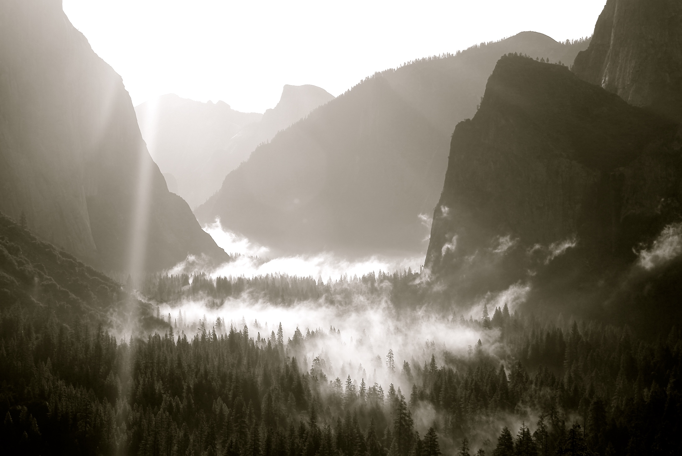 2015 / Yosemite