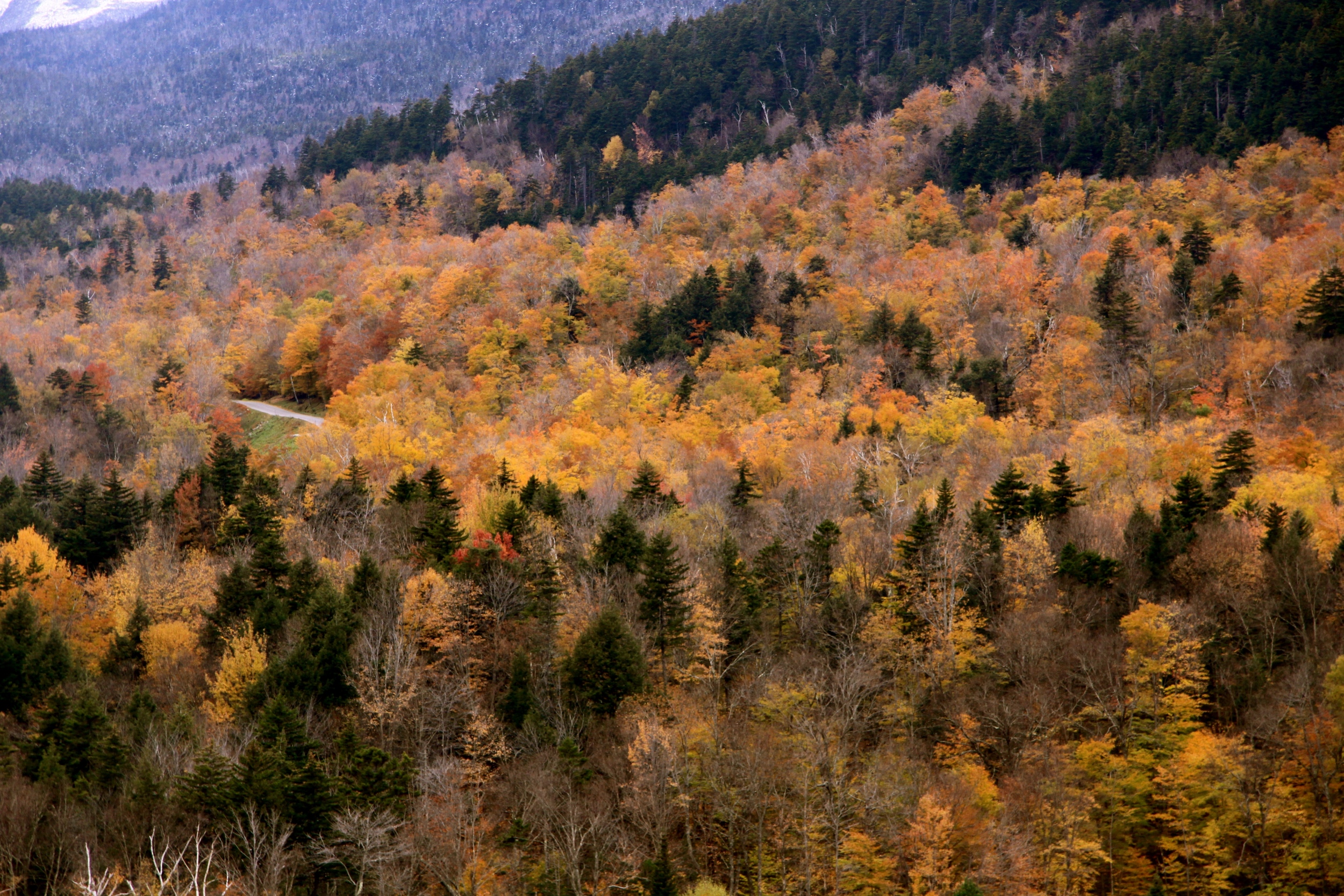 2009 / New Hampshire